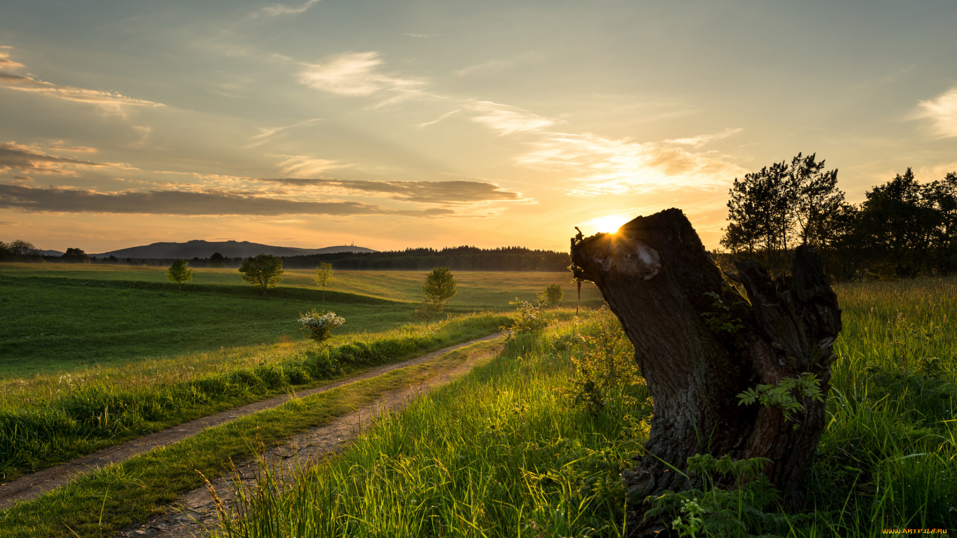 природа, восходы, закаты, рассвет, пень, дорога, поле