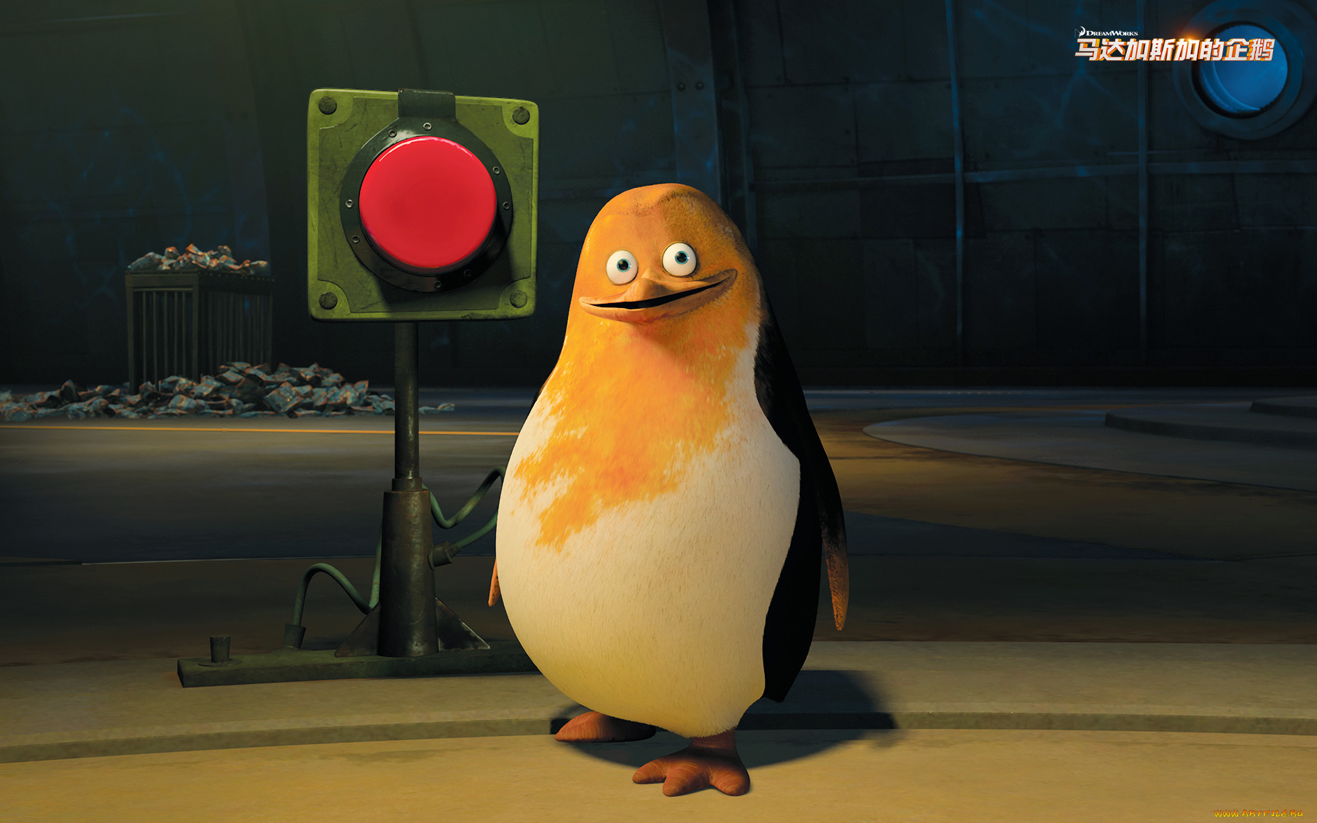 мультфильмы, the, penguins, of, madagascar, пингвин, клюв, глаза