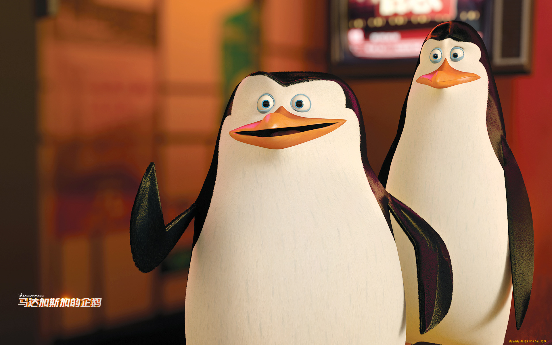 мультфильмы, the, penguins, of, madagascar, пингвины, клюв, глаза