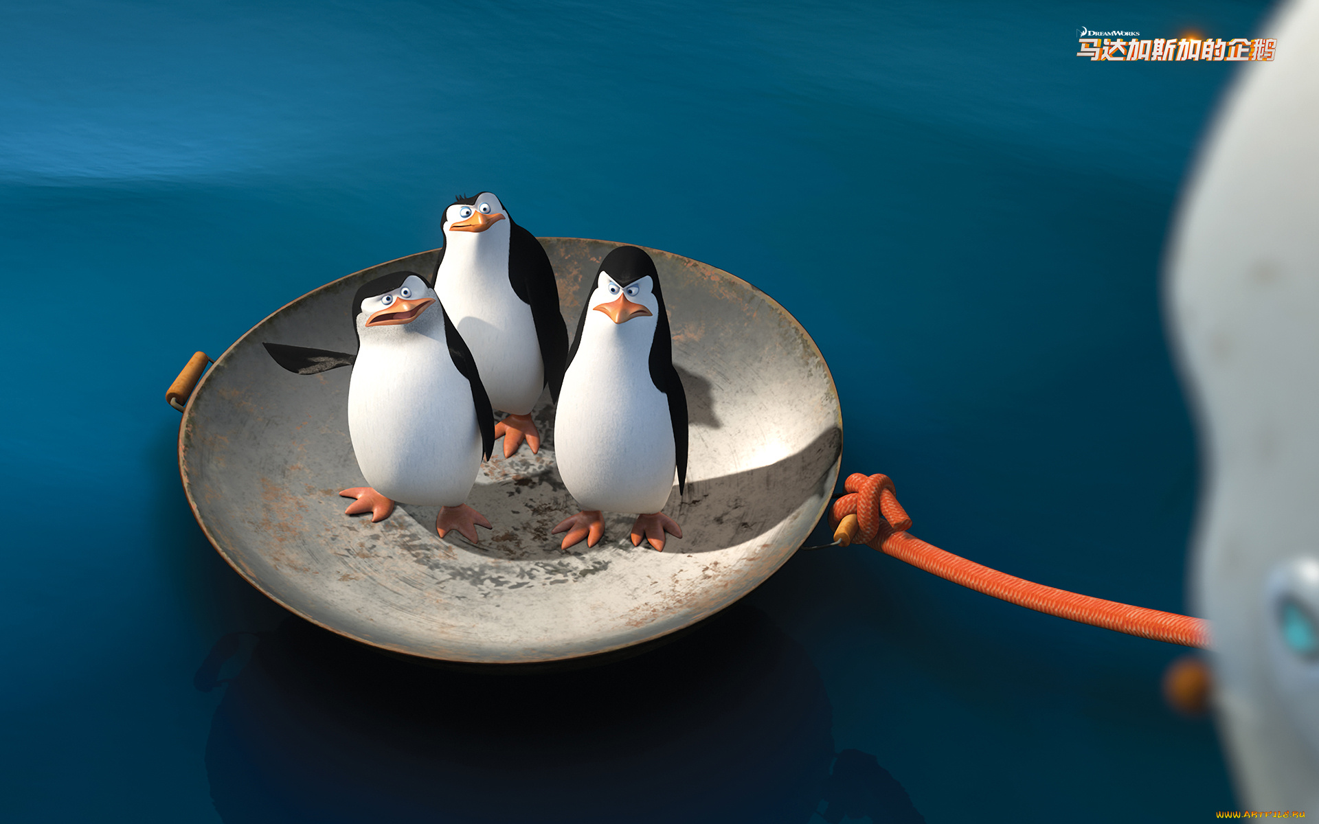 мультфильмы, the, penguins, of, madagascar, пингвины, клюв, глаза