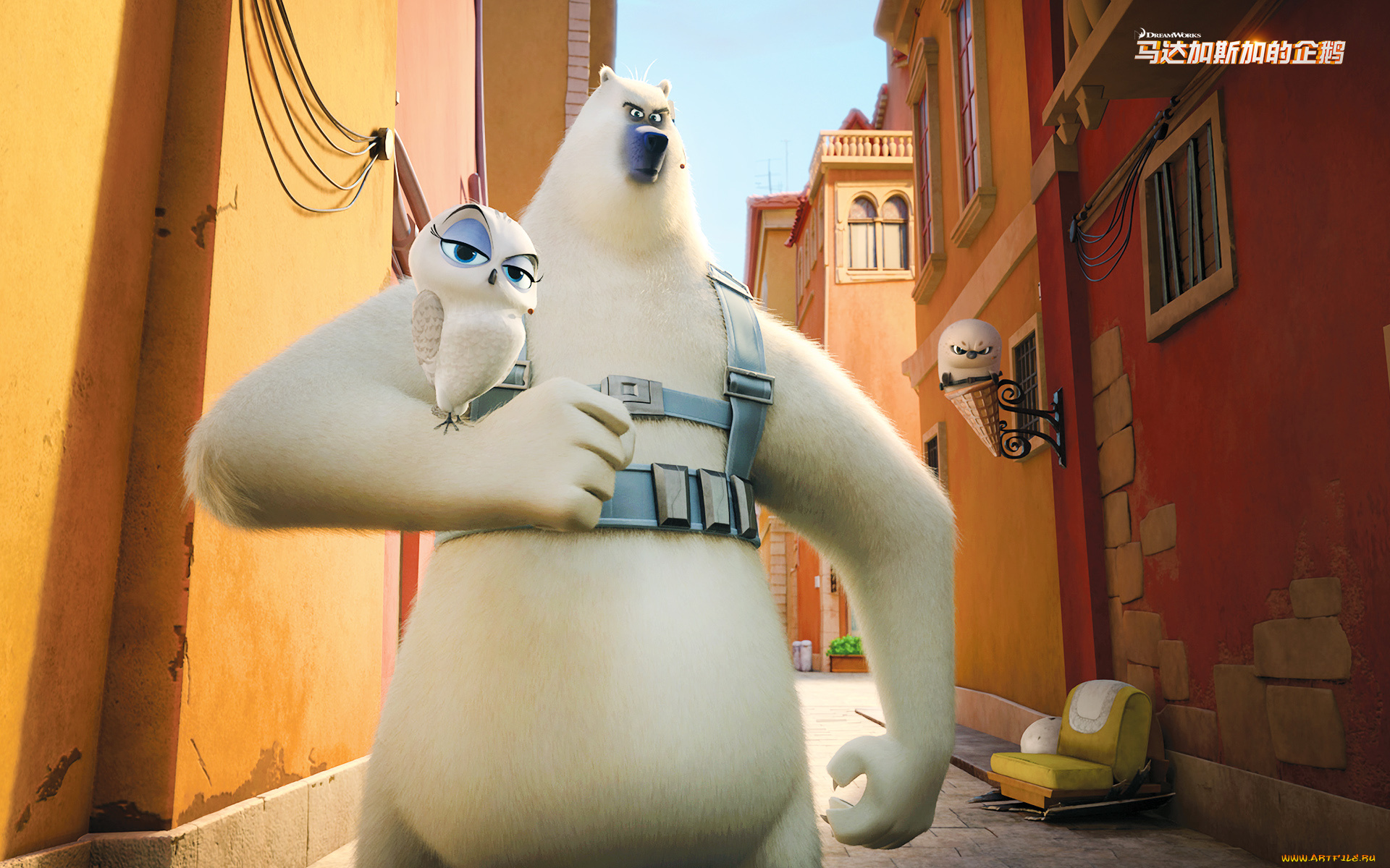 мультфильмы, the, penguins, of, madagascar, улица, медведь