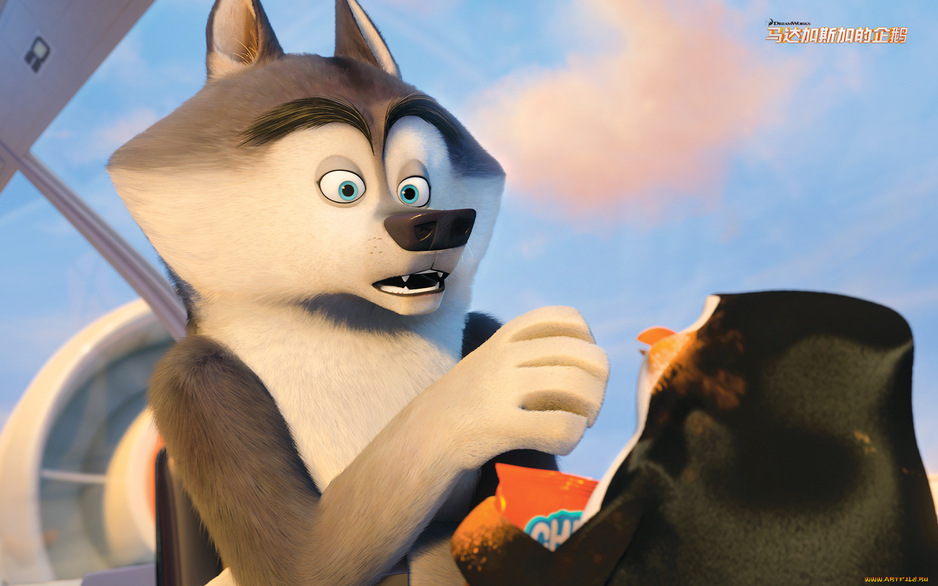 мультфильмы, the, penguins, of, madagascar, взгляд