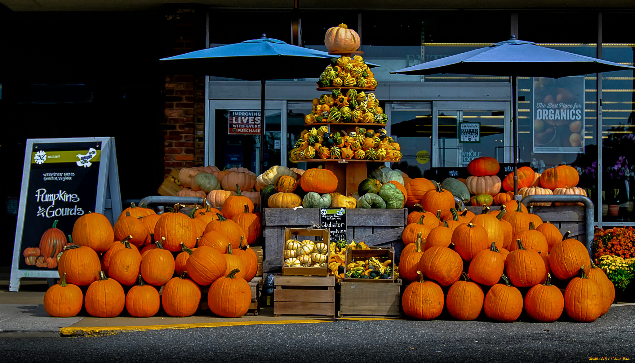 еда, тыква, урожай