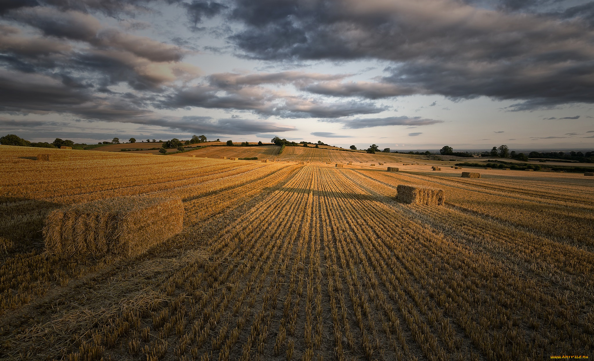 природа, поля, снопы, поле, жнивье