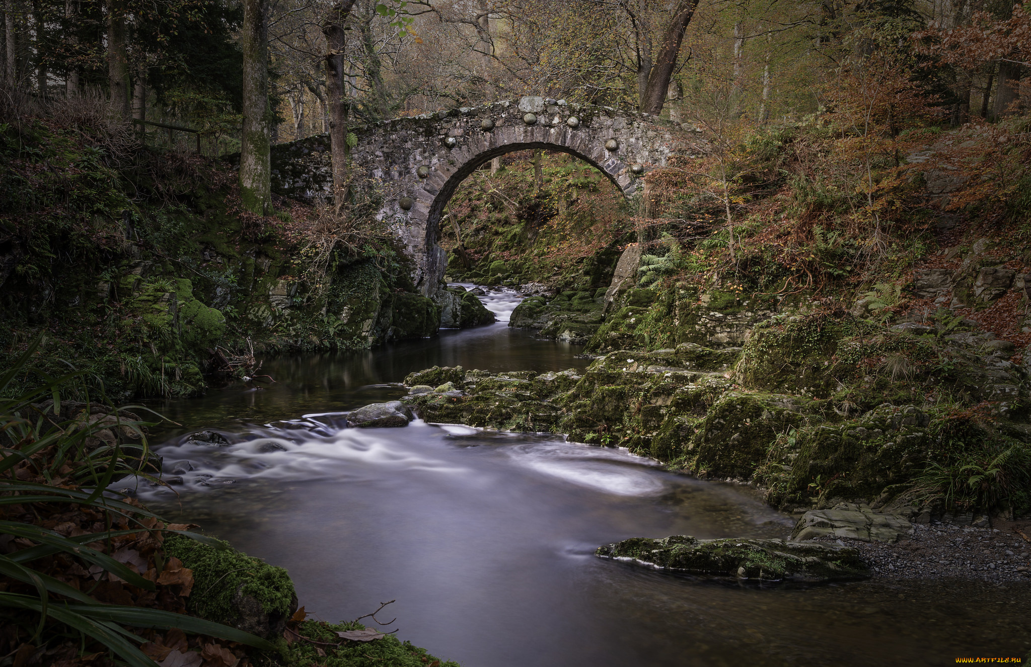 природа, реки, озера, арка, мост, лес, река