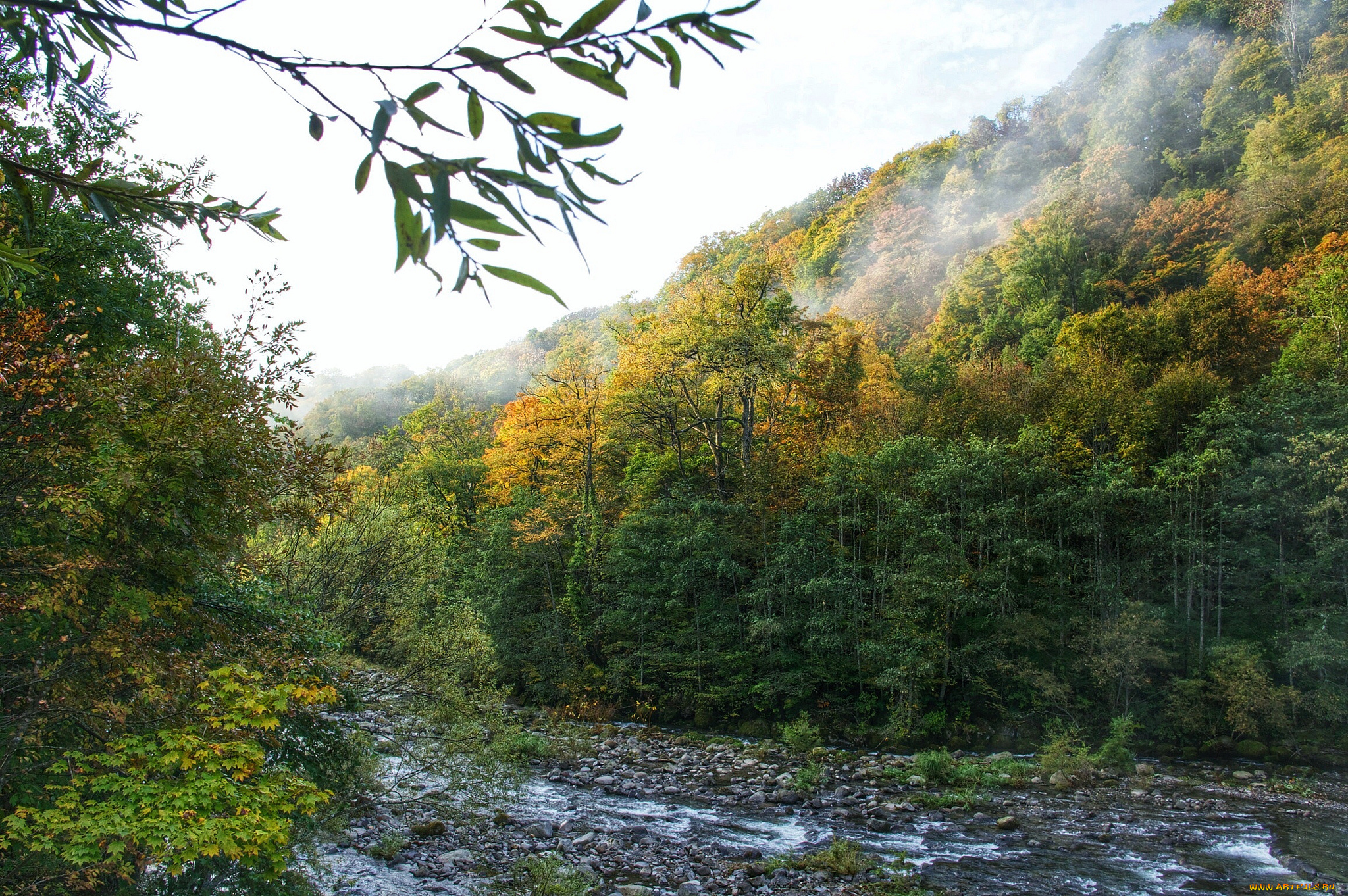 природа, реки, озера, река, лес, горы