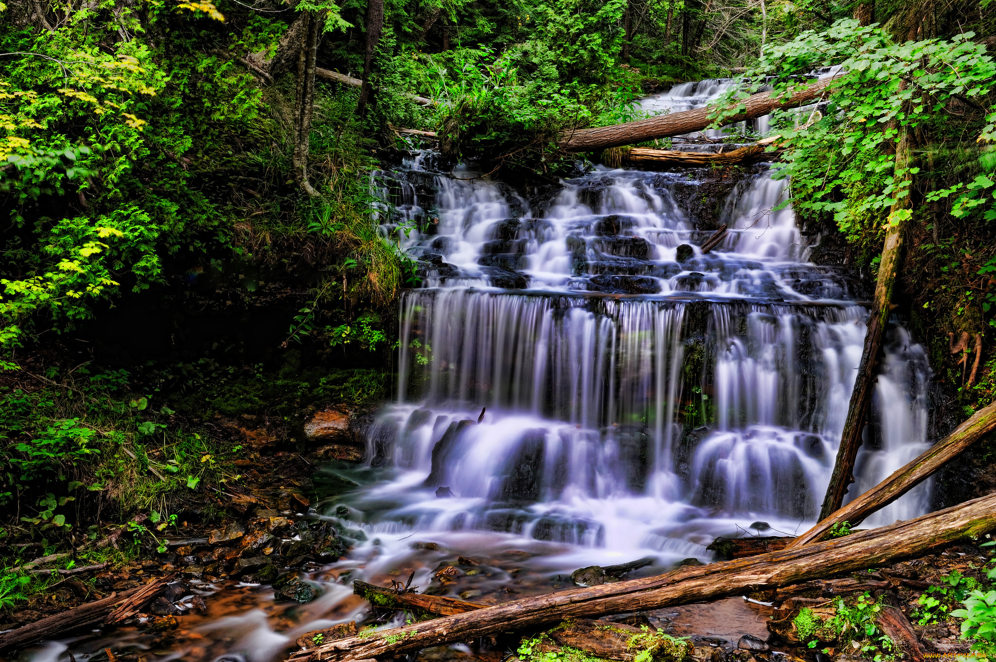природа, водопады, лес, водопад, река