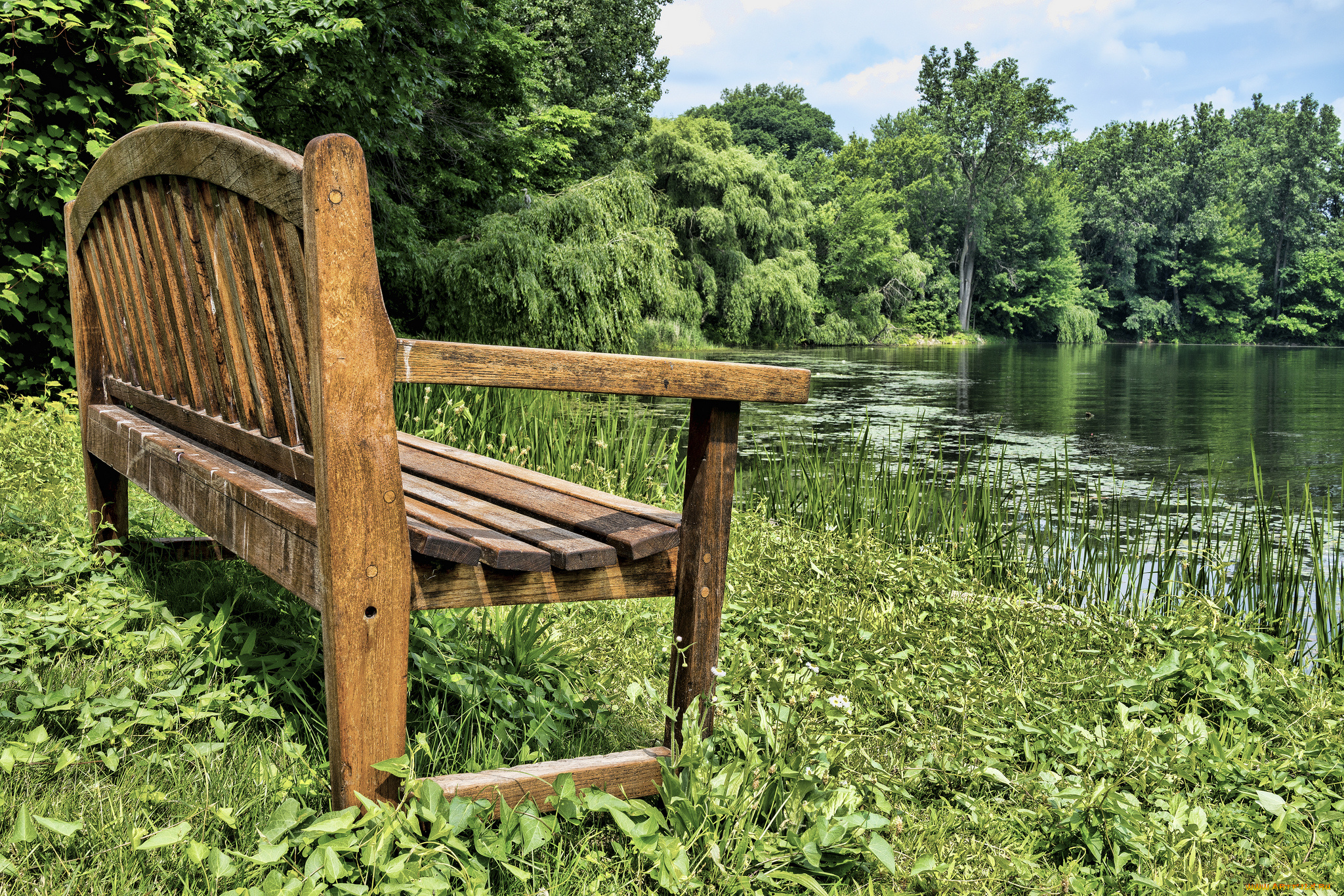 природа, реки, озера, лужайка, река, скамейка