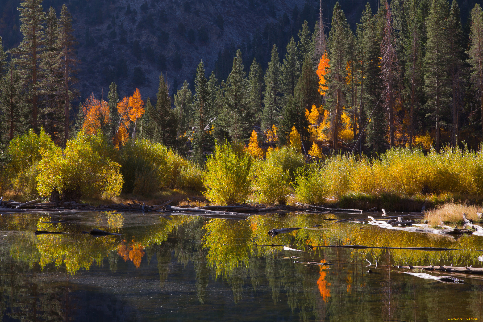 природа, реки, озера, осень, река, лес, горы