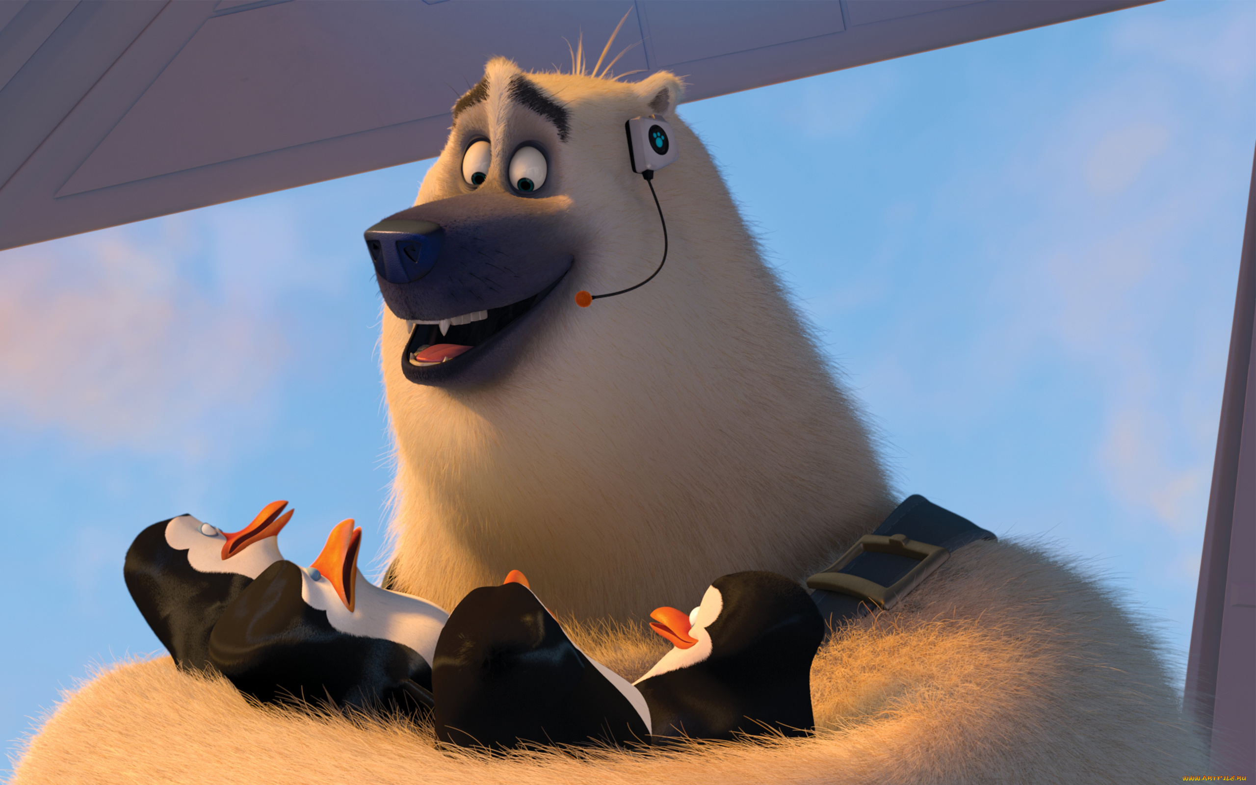 мультфильмы, the, penguins, of, madagascar, медведь, пингвины, клюв, глаза