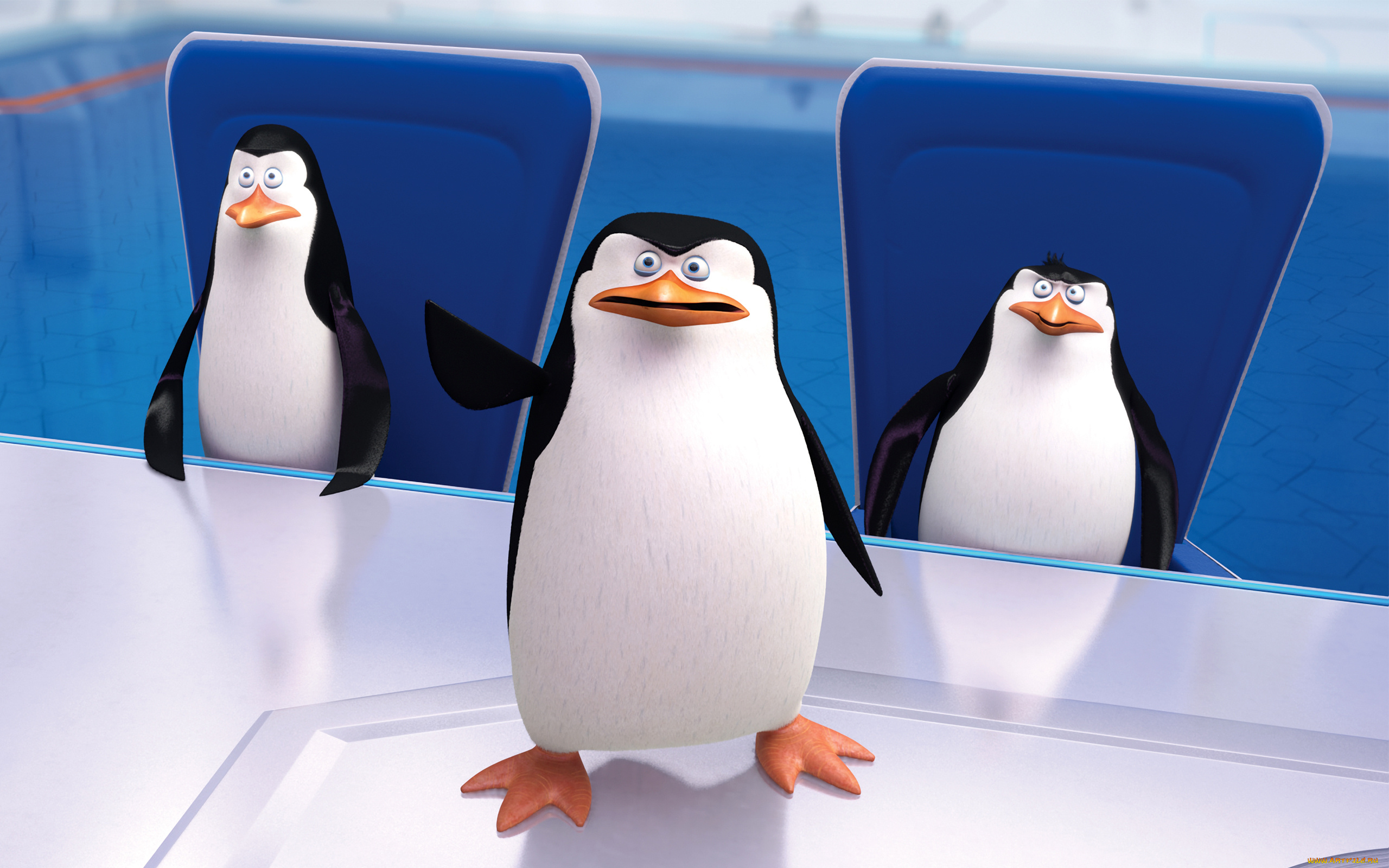 мультфильмы, the, penguins, of, madagascar, пингвины, клюв, глаза