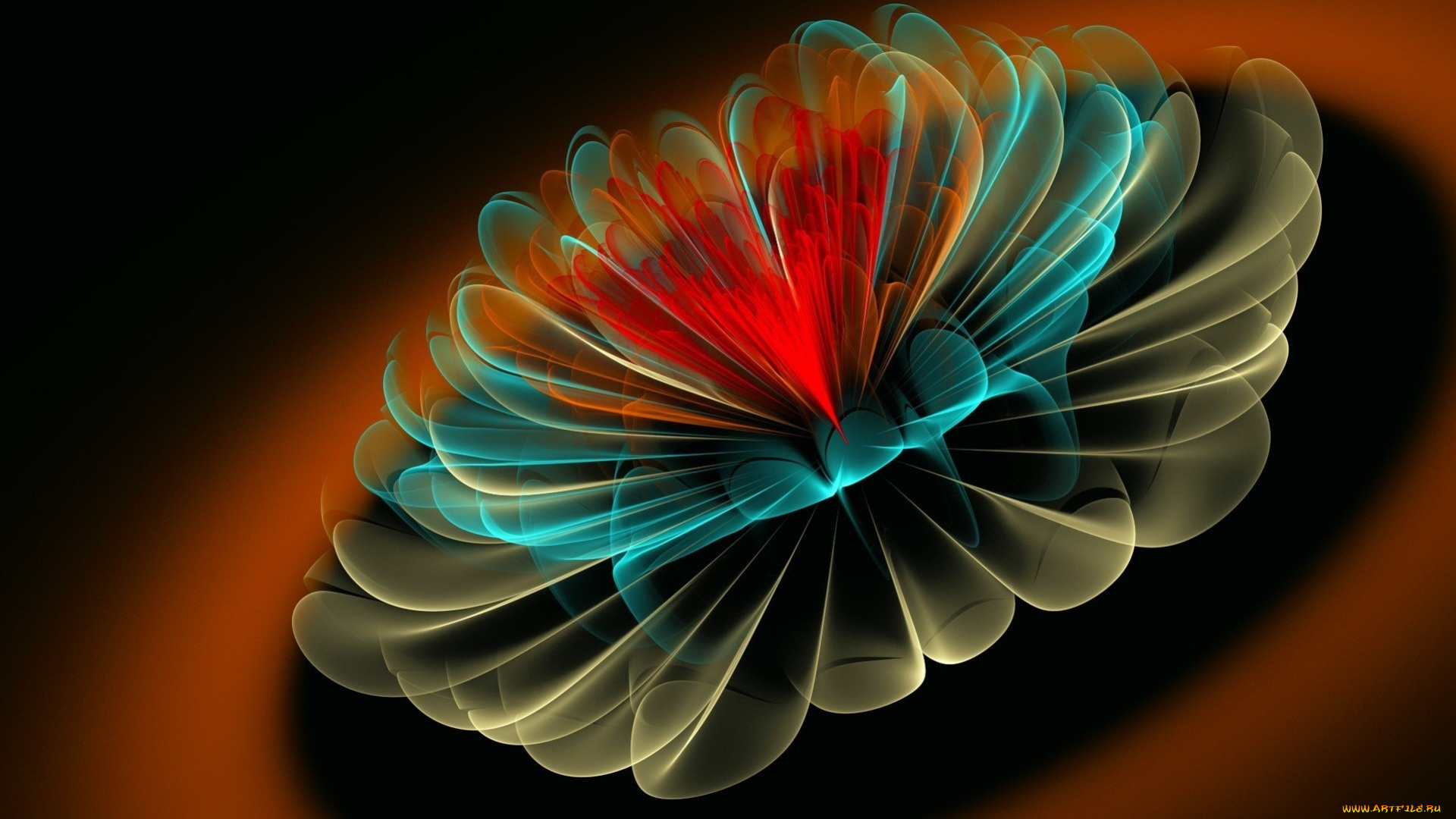 3д, графика, цветы, , flowers, цвета, фон, узор