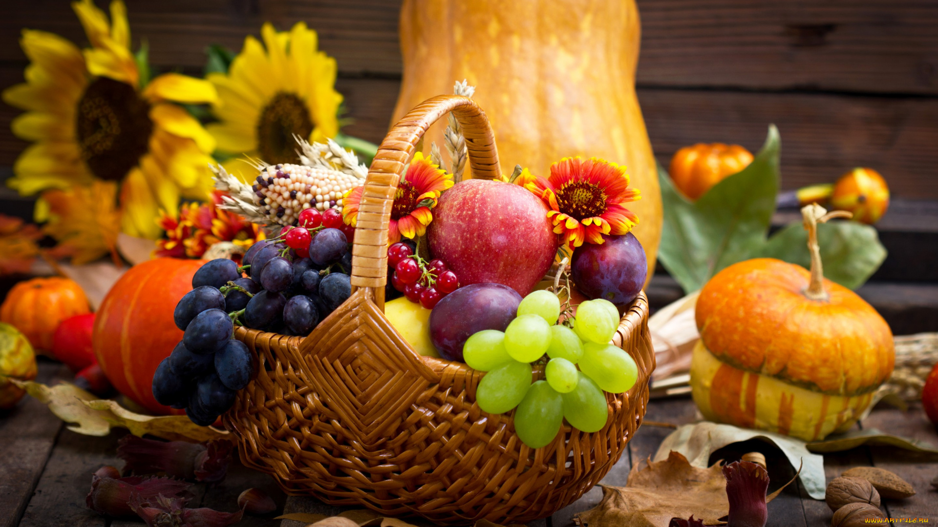 еда, фрукты, , ягоды, pumpkin, grapes, apples, autumn, flowers, тыква, виноград, яблоки, цветы, корзина