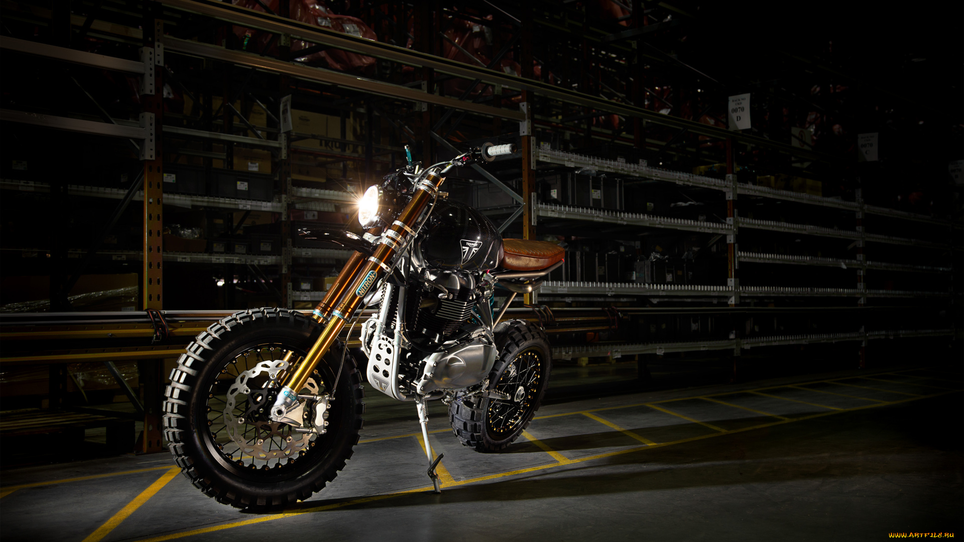 мотоциклы, triumph