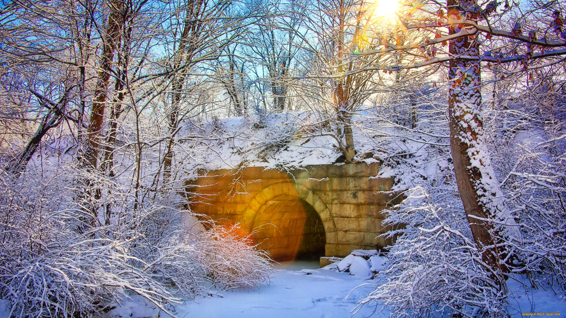 природа, лес, снег, мост