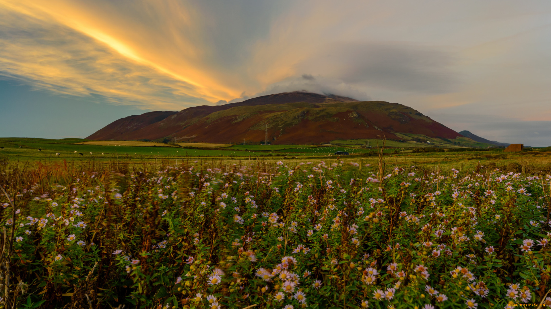 природа, восходы, закаты, рассвет
