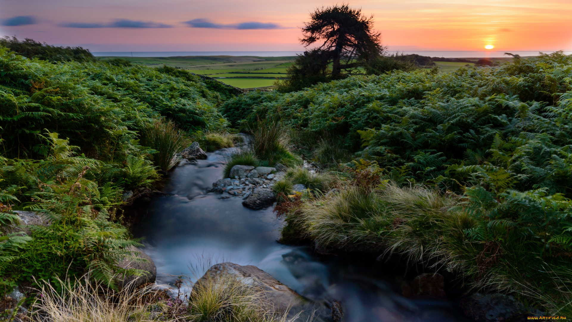 природа, восходы, закаты, закат