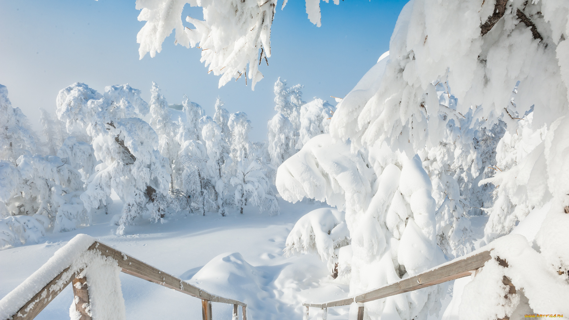 природа, зима, снег, россия, южный, урал, деревья, сугробы