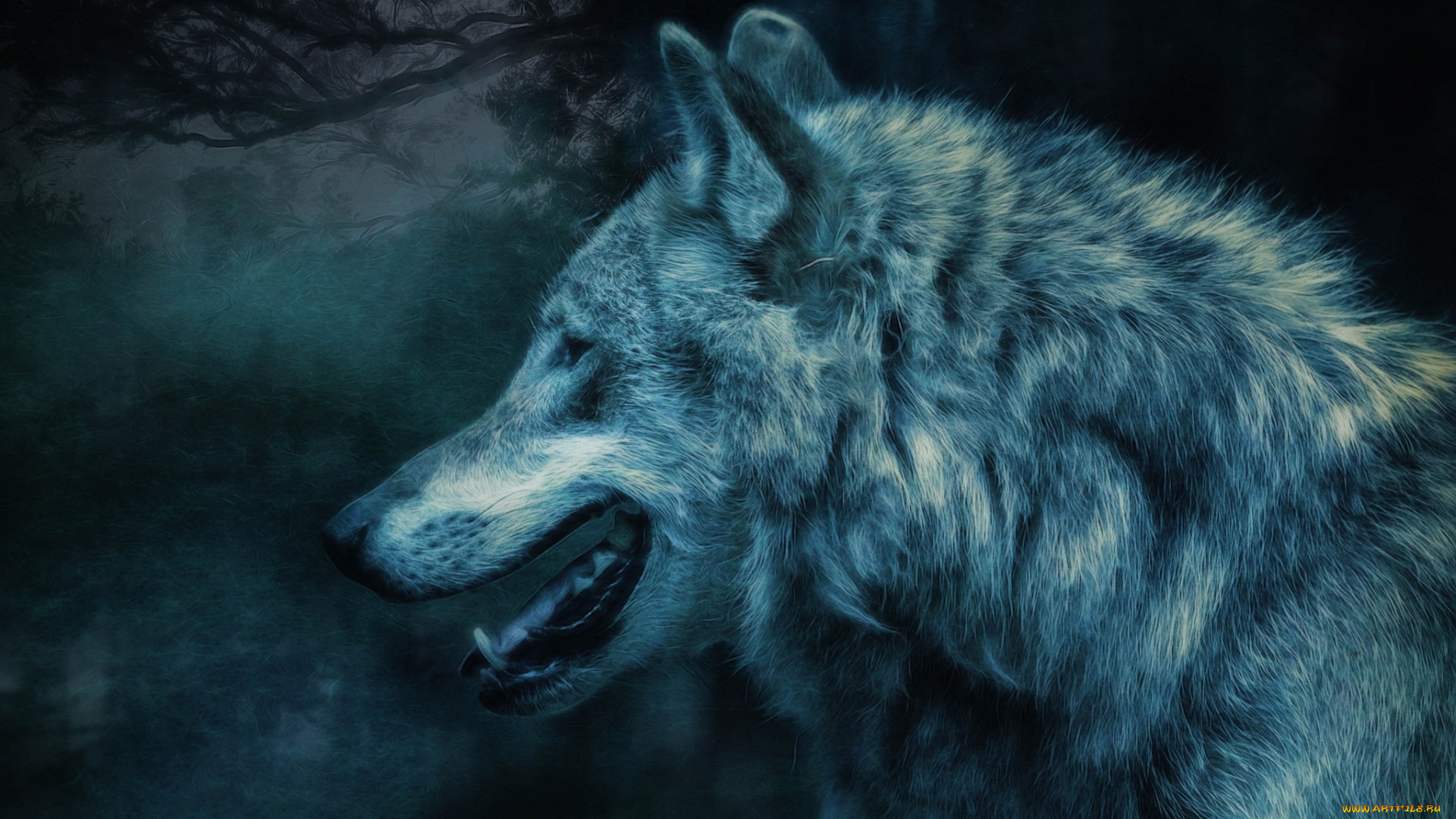 разное, компьютерный, дизайн, лес, ночь, волк, хищник, профиль