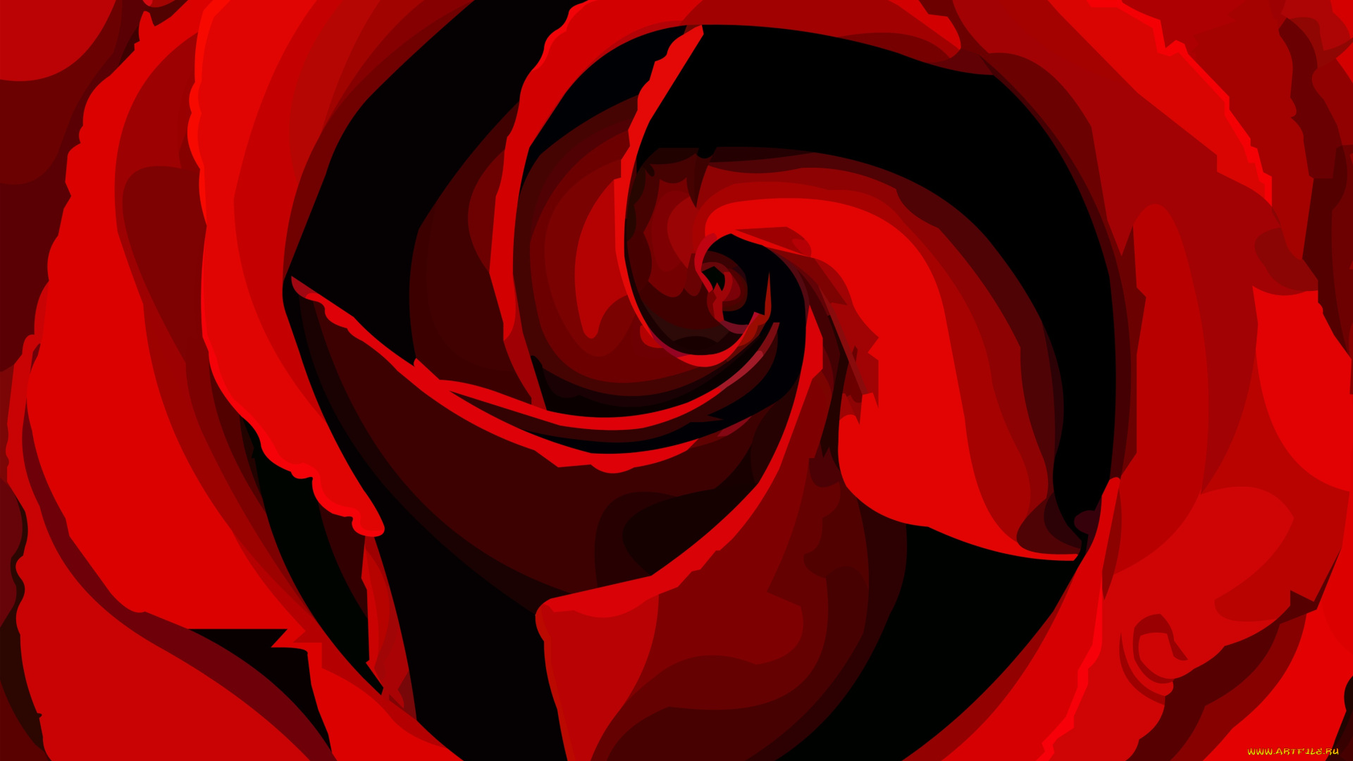 векторная, графика, цветы, , flowers, фон, лепестки, роза