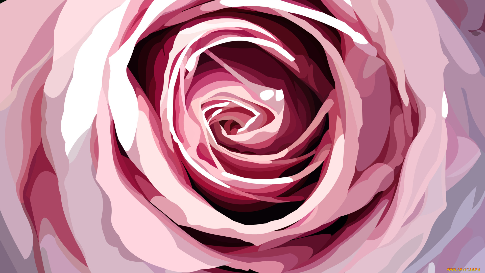 векторная, графика, цветы, , flowers, роза, фон, лепестки