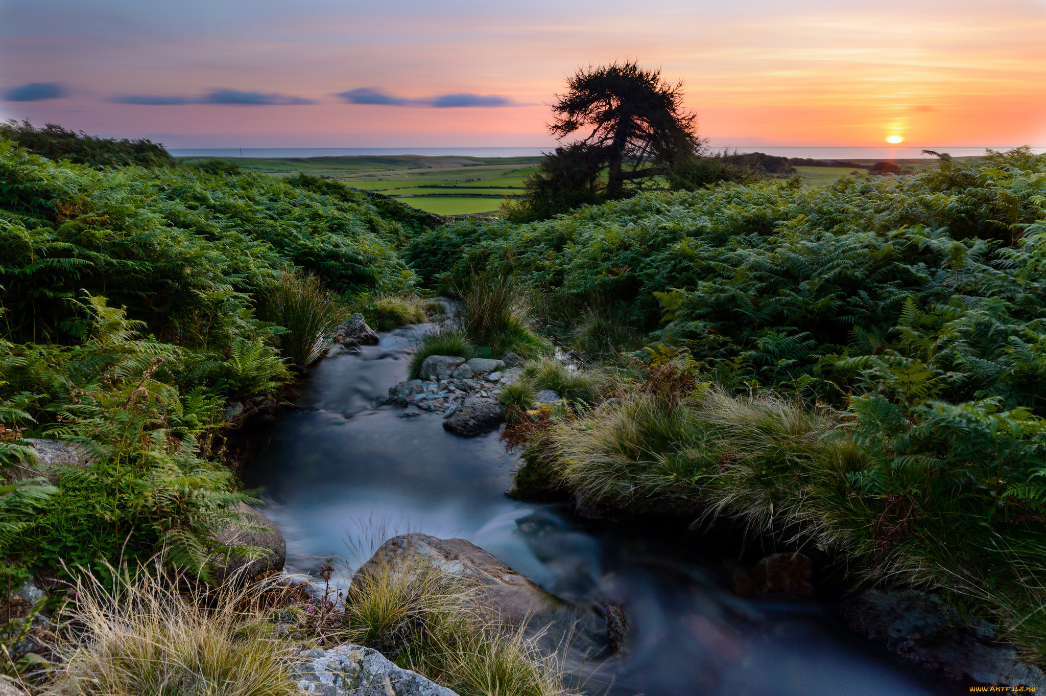 природа, восходы, закаты, закат