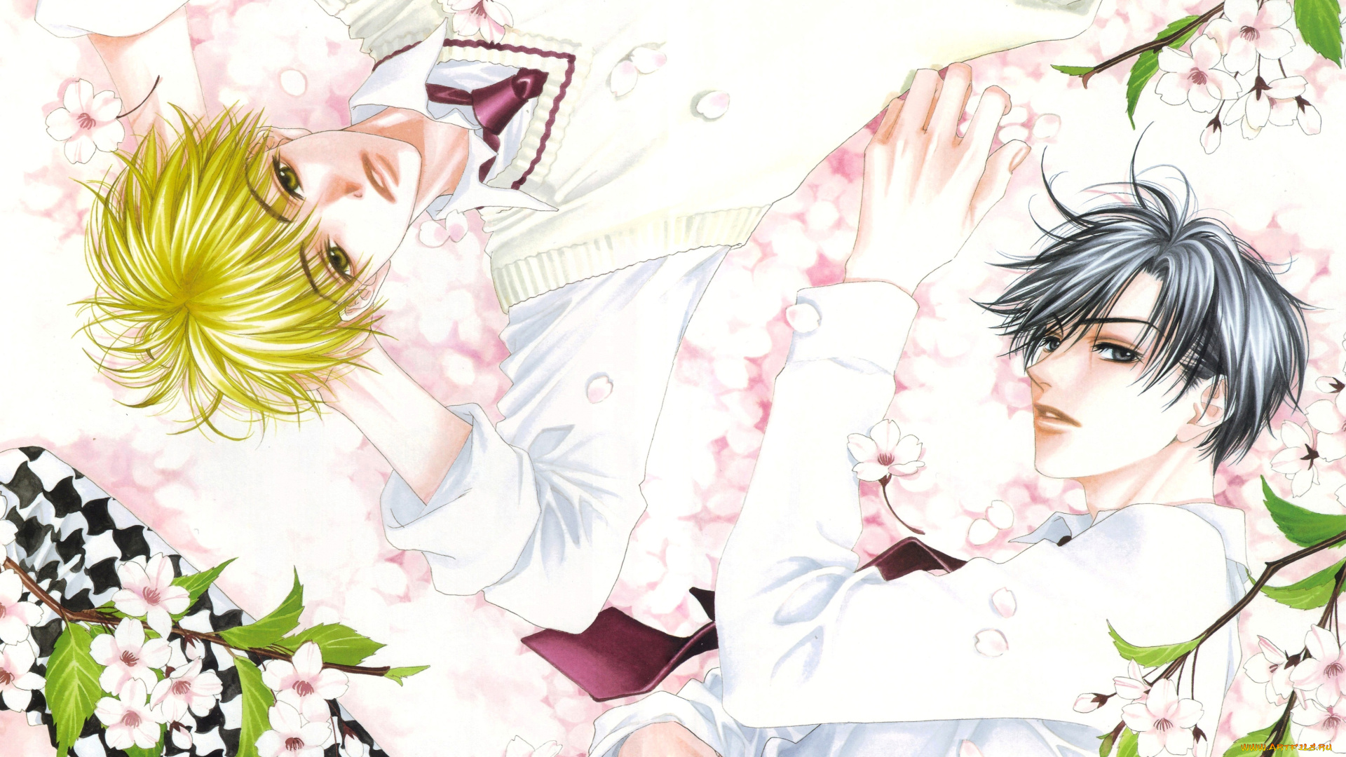 аниме, hanakimi, парни