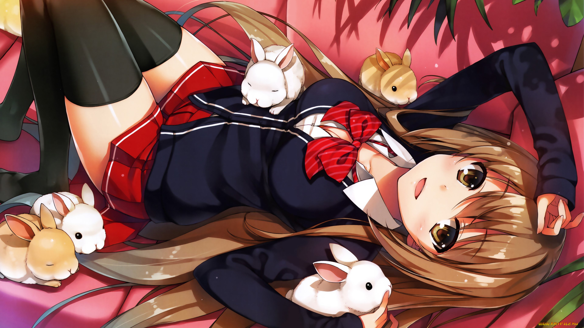 аниме, toradora, кролики, девушка, взгляд, фон