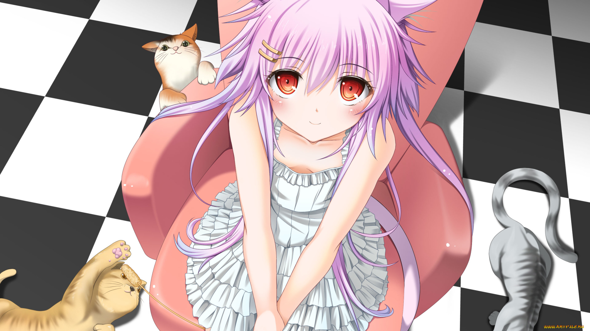 аниме, животные, , существа, фон, взгляд, девушка