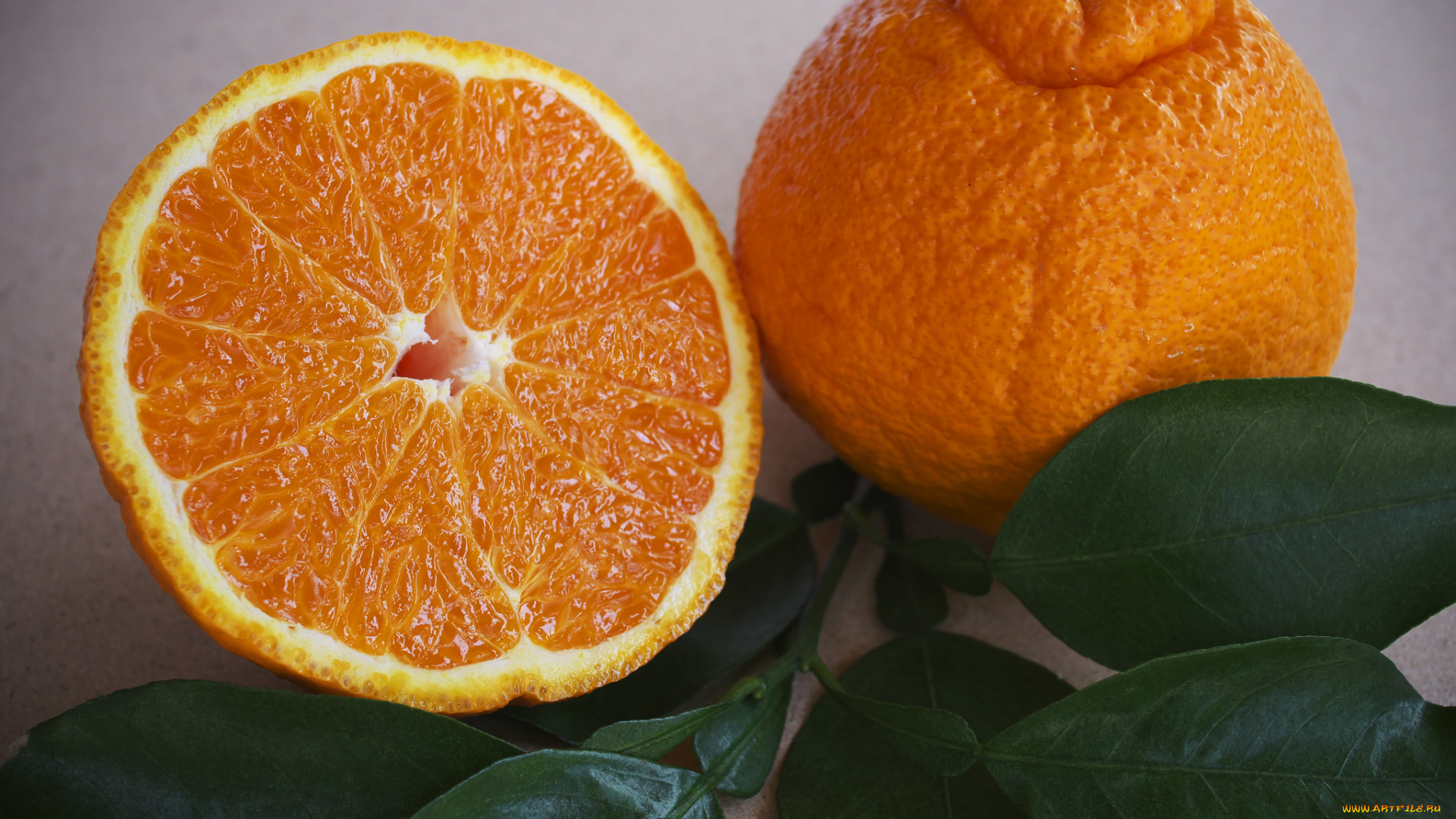 еда, цитрусы, апельсины