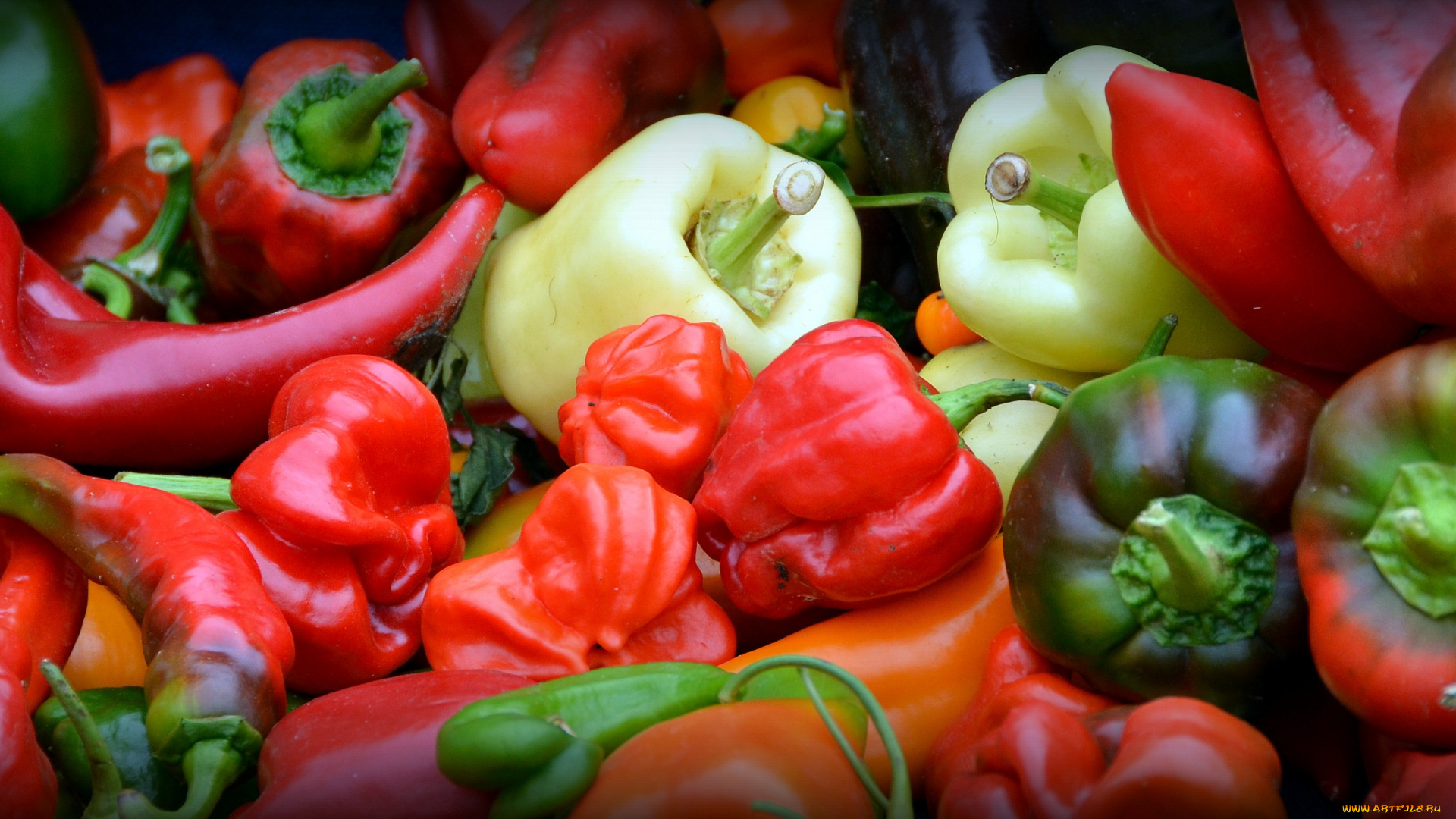 еда, перец, перчики