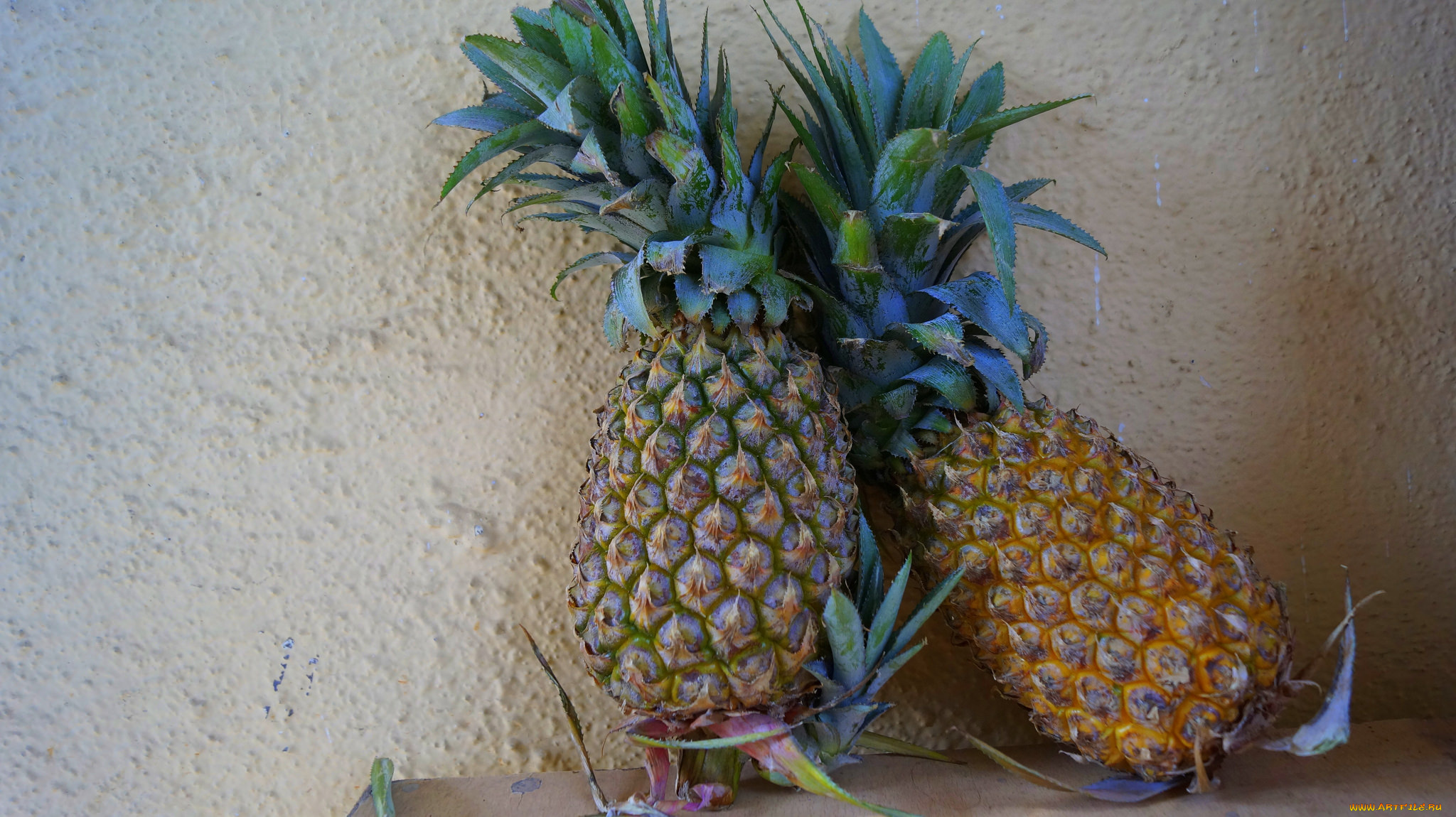 еда, ананас, плоды