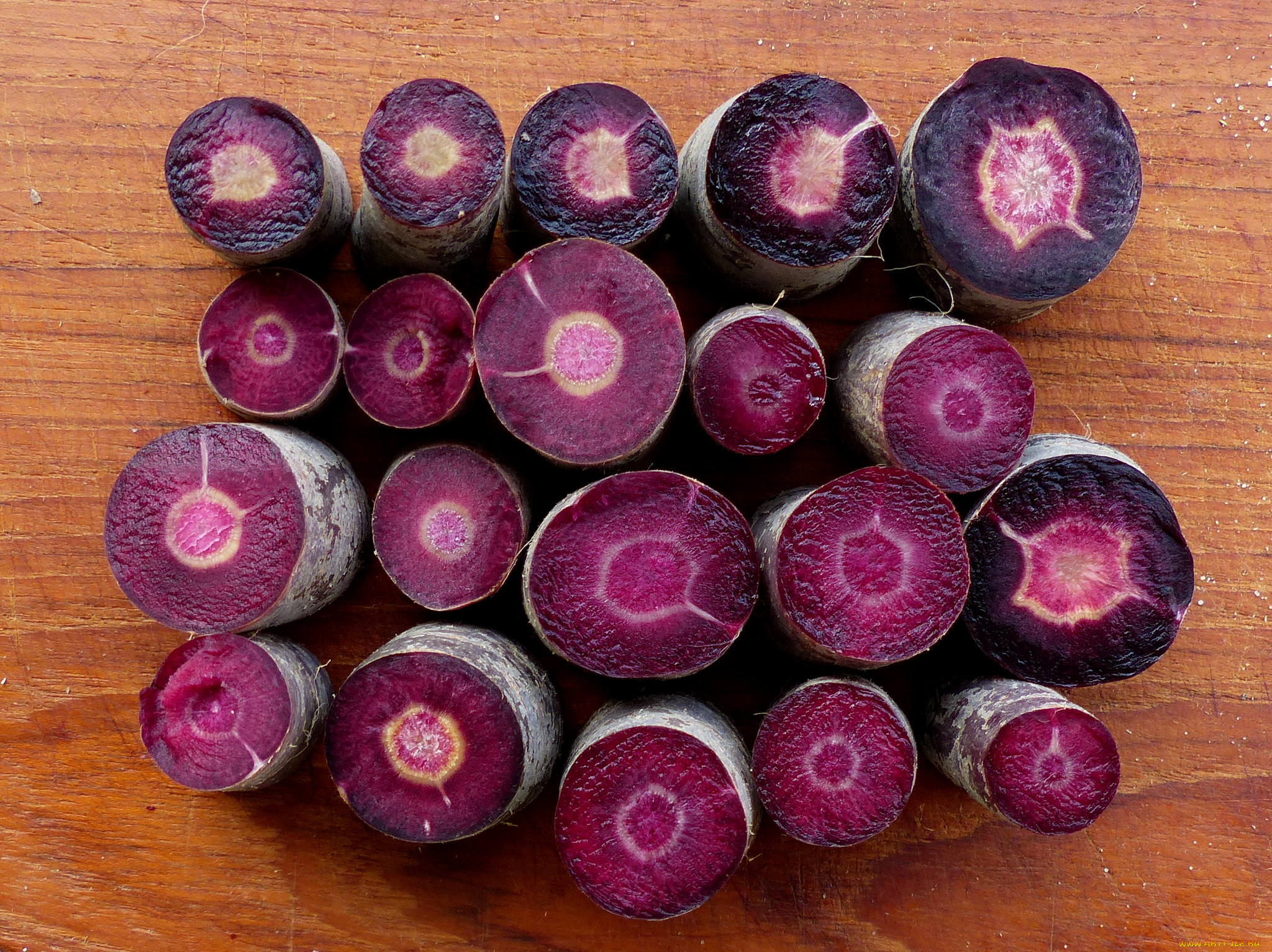 еда, овощи, свекла