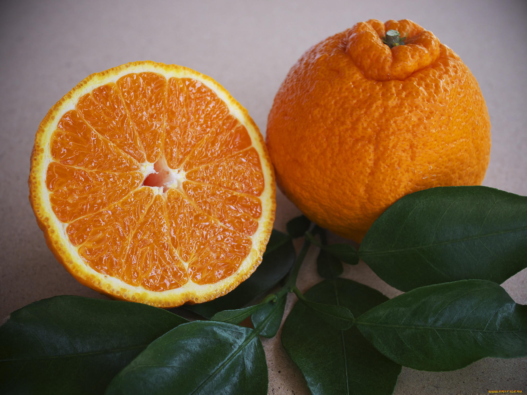 еда, цитрусы, апельсины