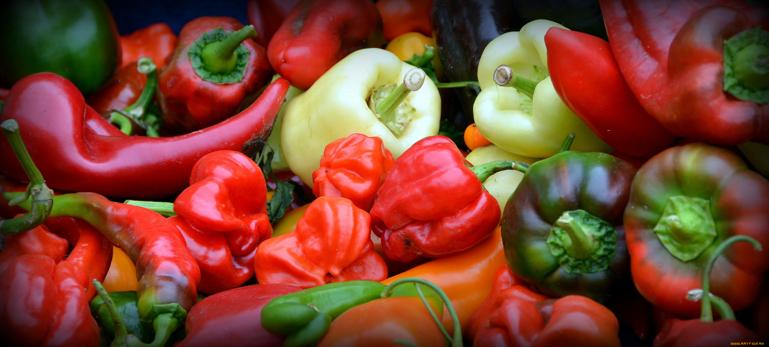 еда, перец, перчики