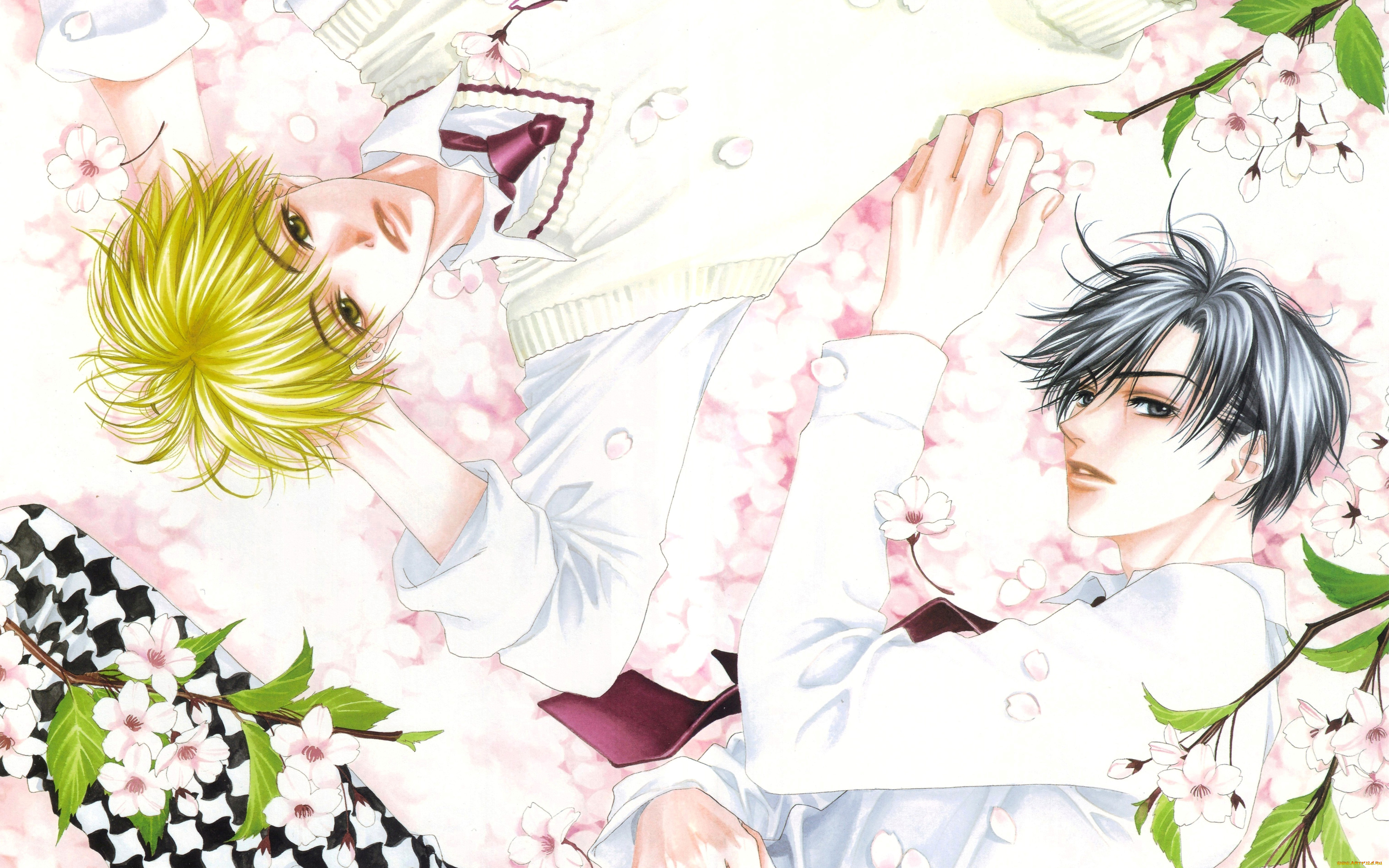 аниме, hanakimi, парни