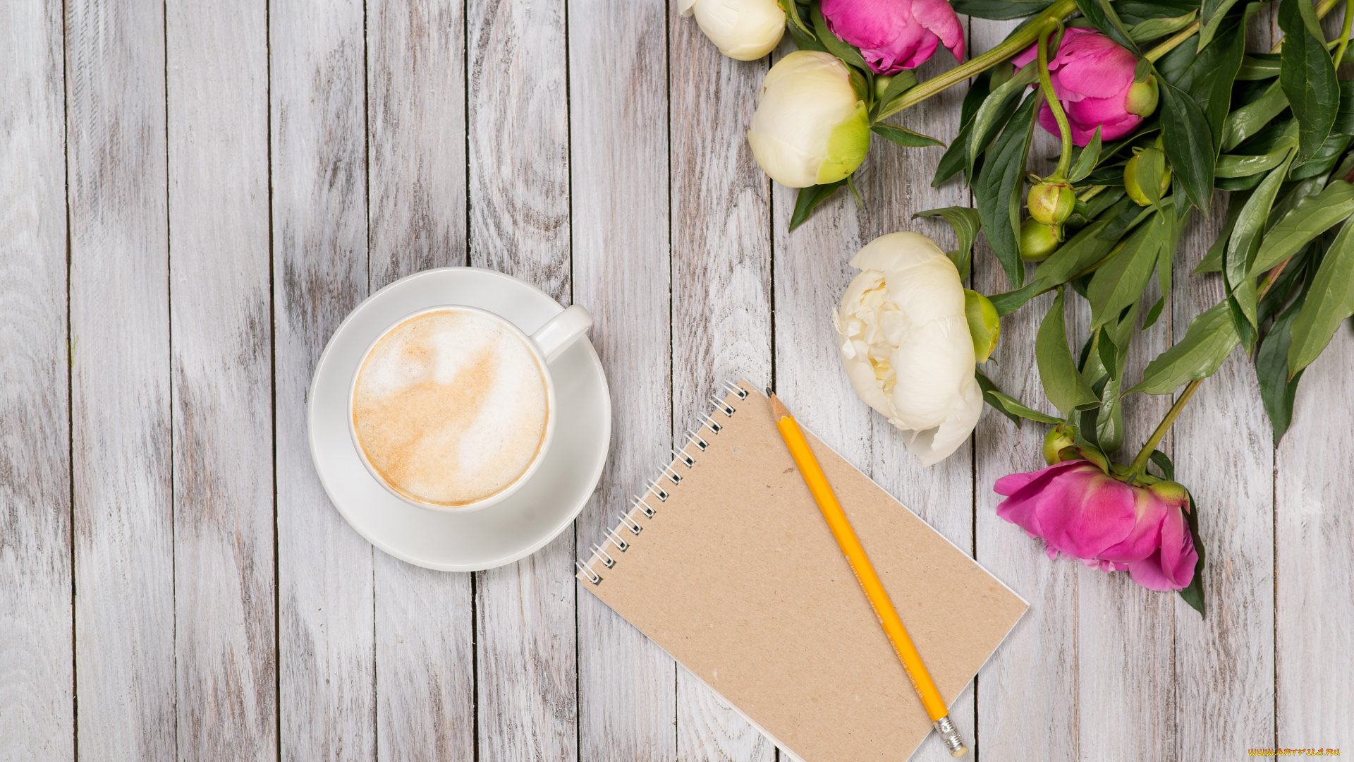 еда, кофе, , кофейные, зёрна, цветы, пионы, блокнот