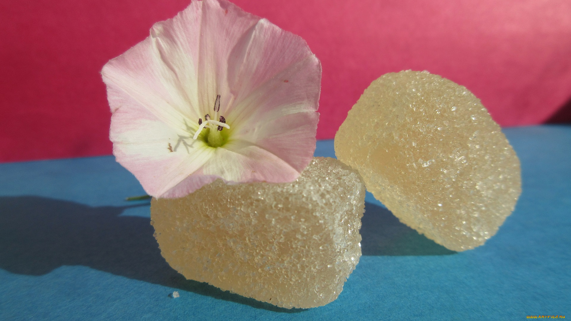 еда, конфеты, , шоколад, , сладости, мармелад