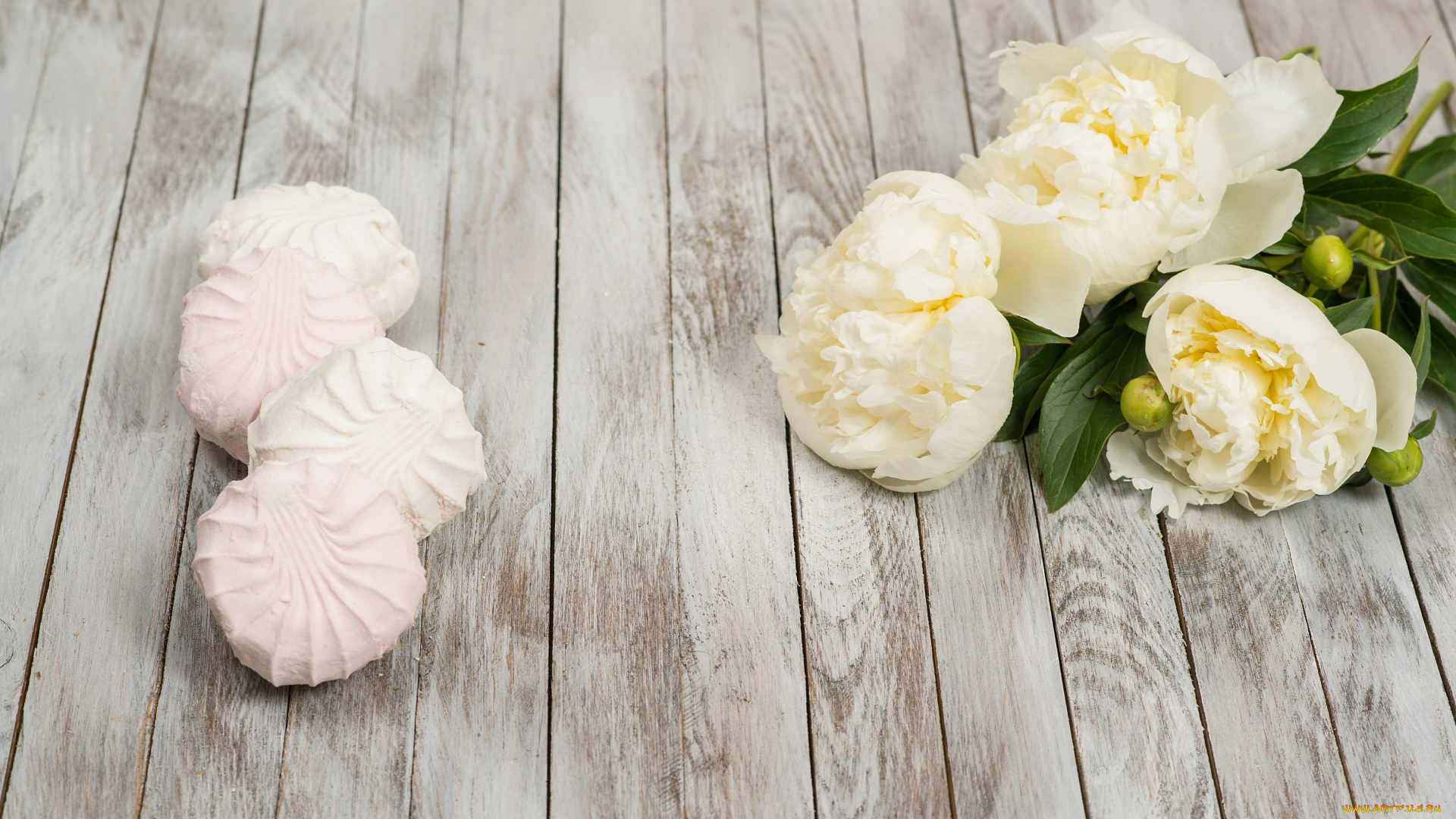 еда, конфеты, , шоколад, , сладости, зефир, сладость, пионы, цветы