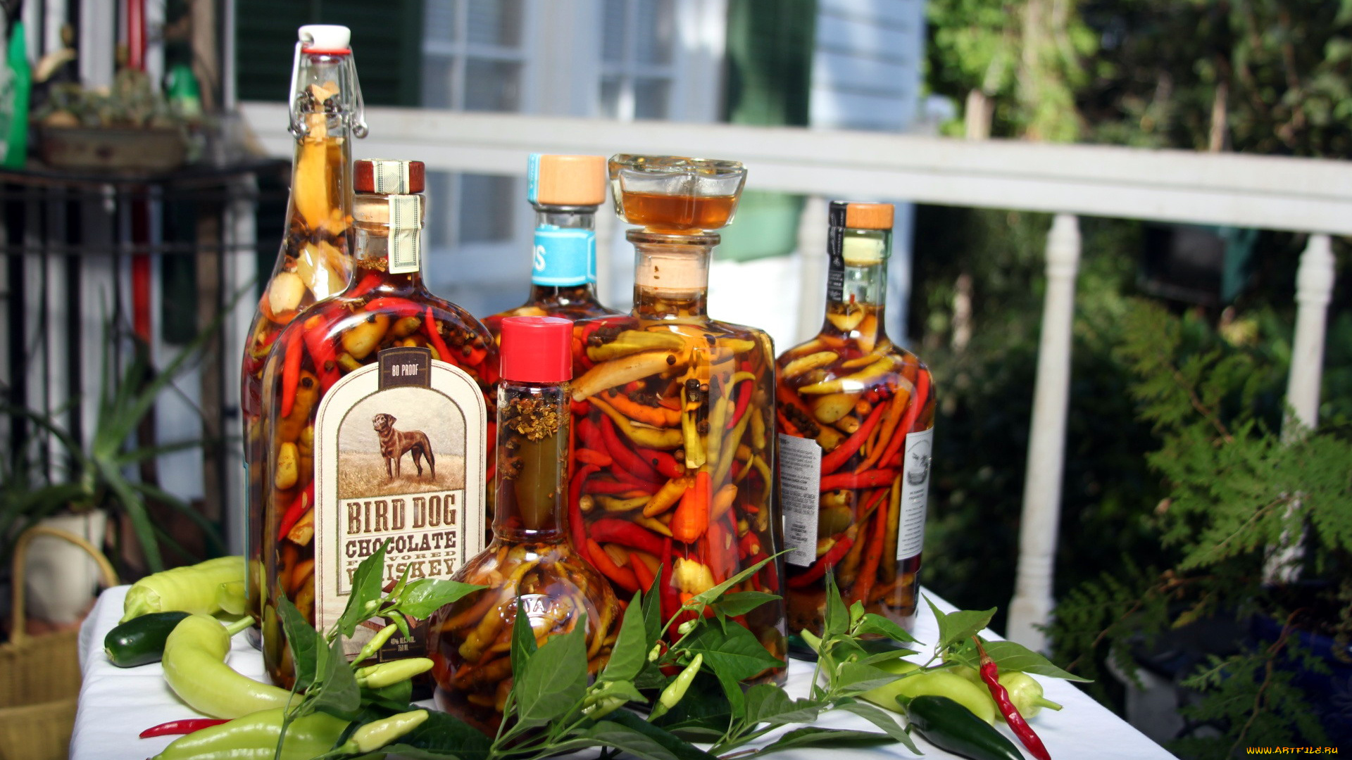 еда, перец, острый, консервация