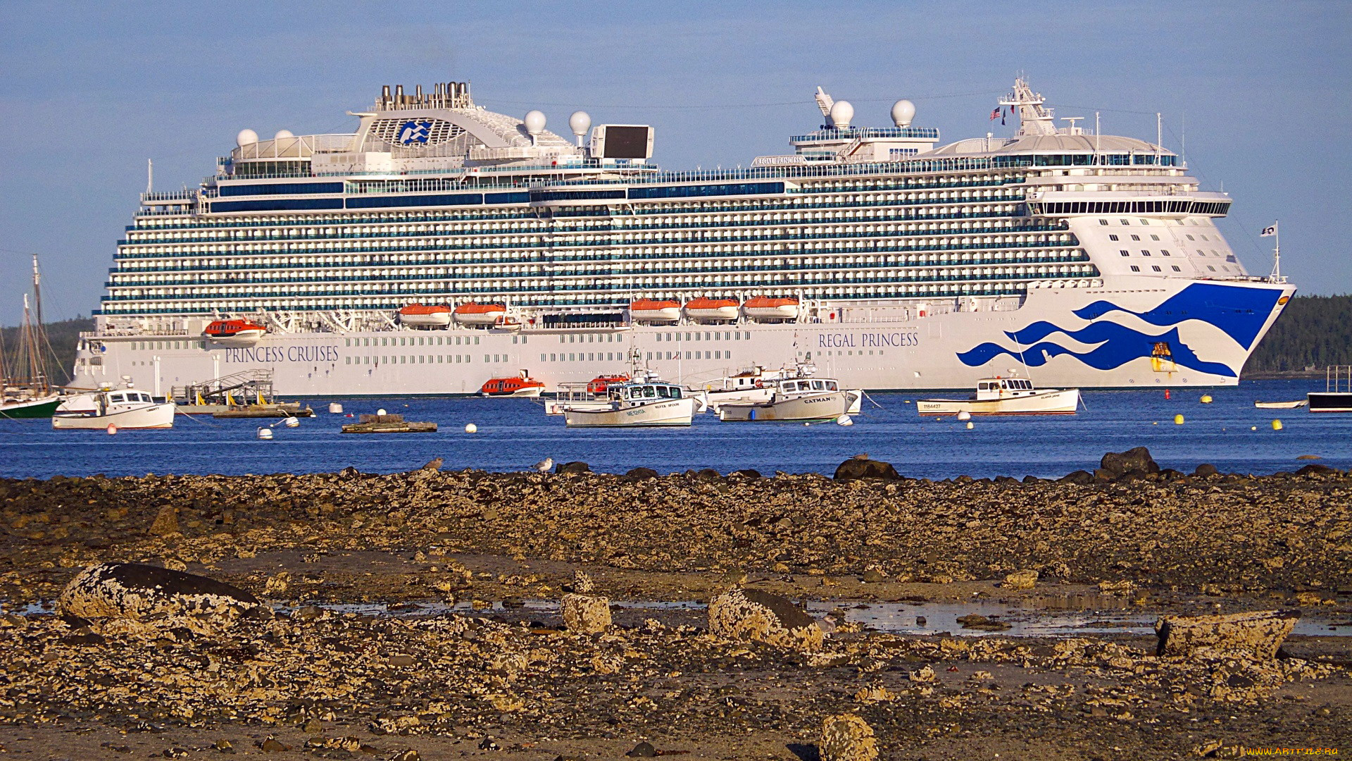 корабли, лайнеры, круизный