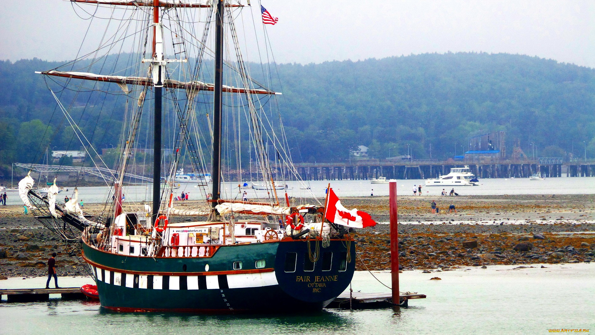 корабли, парусники, флаг, шхуна