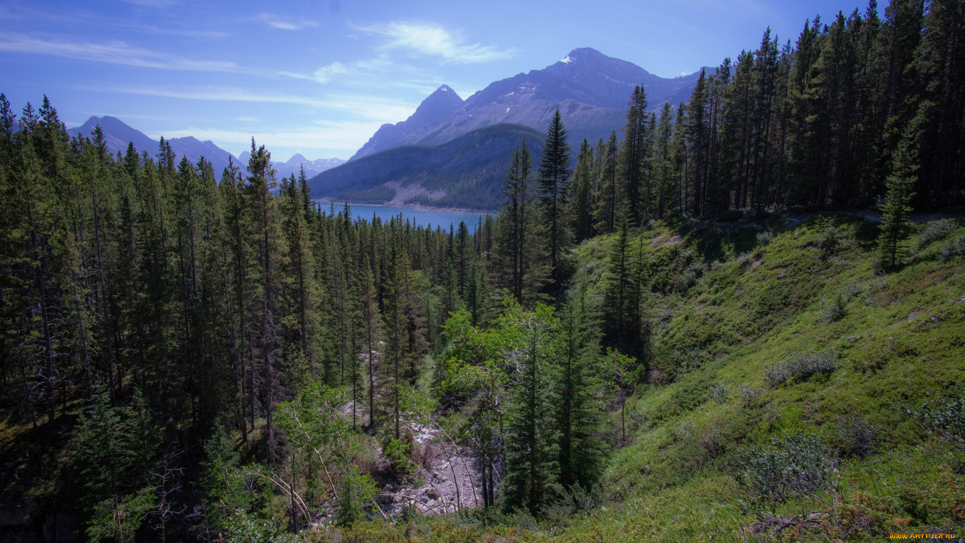 природа, горы, простор