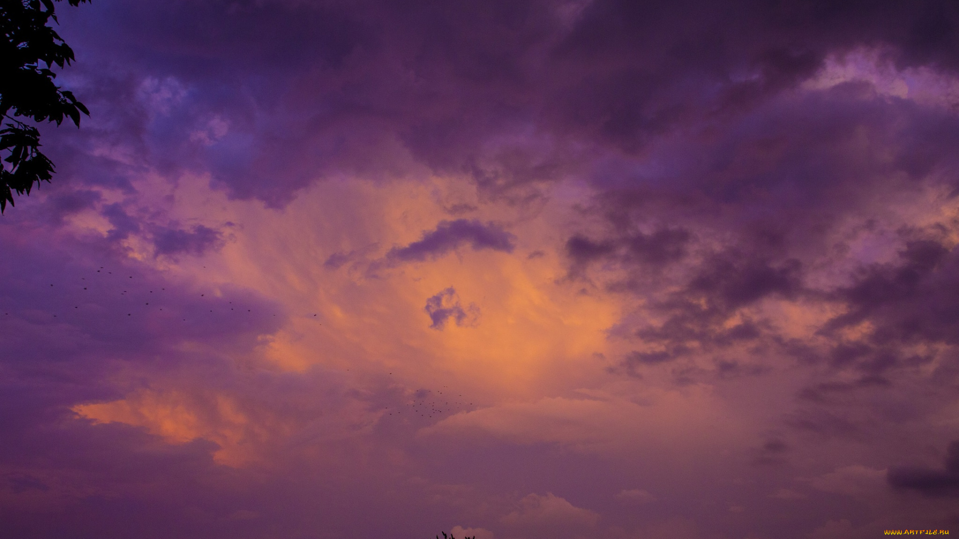 природа, облака, закат