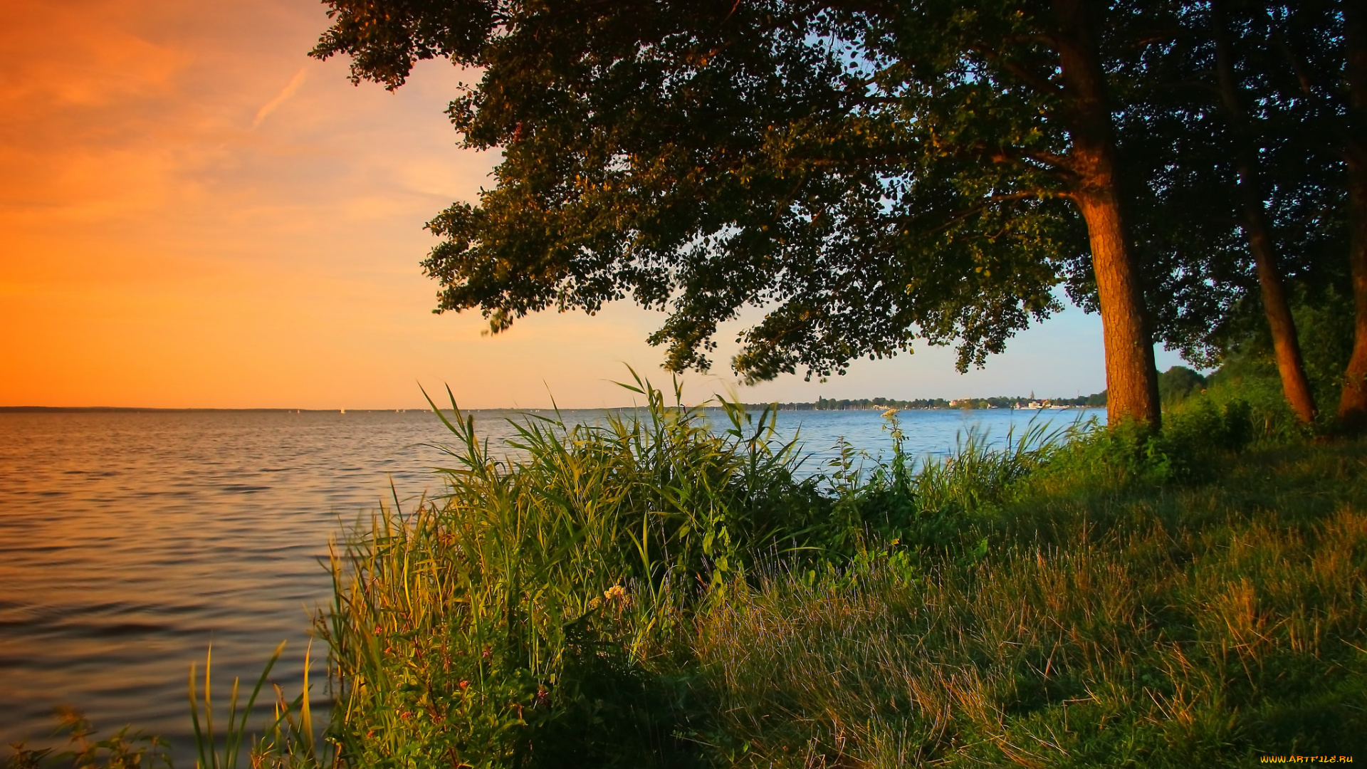 природа, побережье, простор