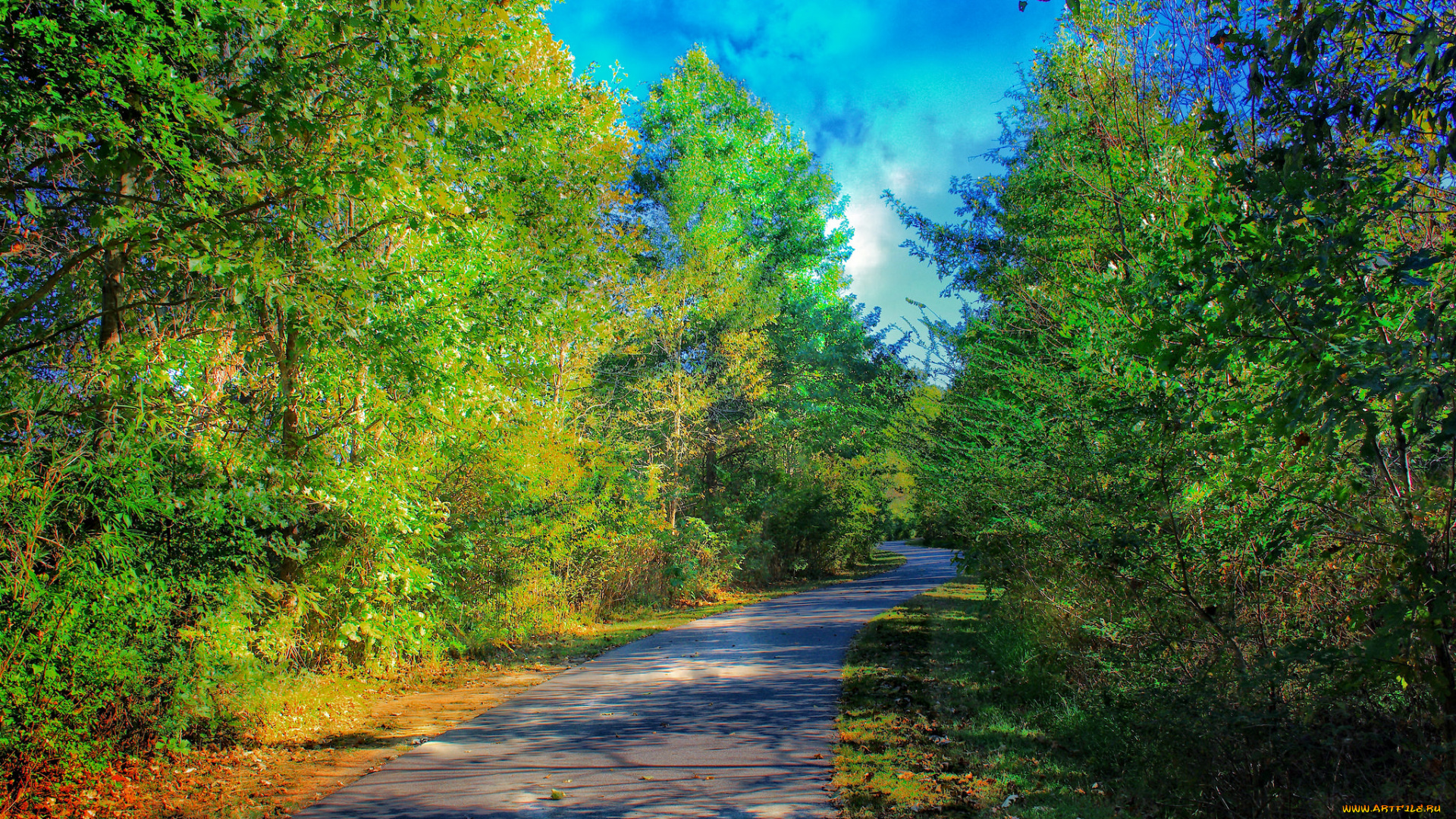 природа, реки, озера, простор