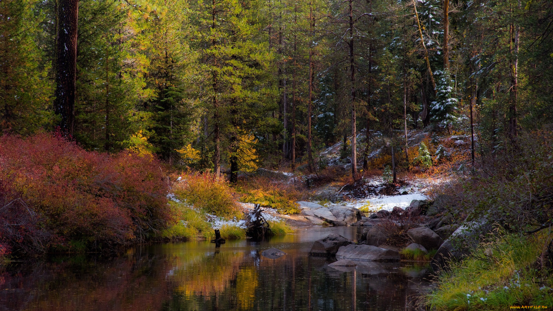 природа, реки, озера, простор