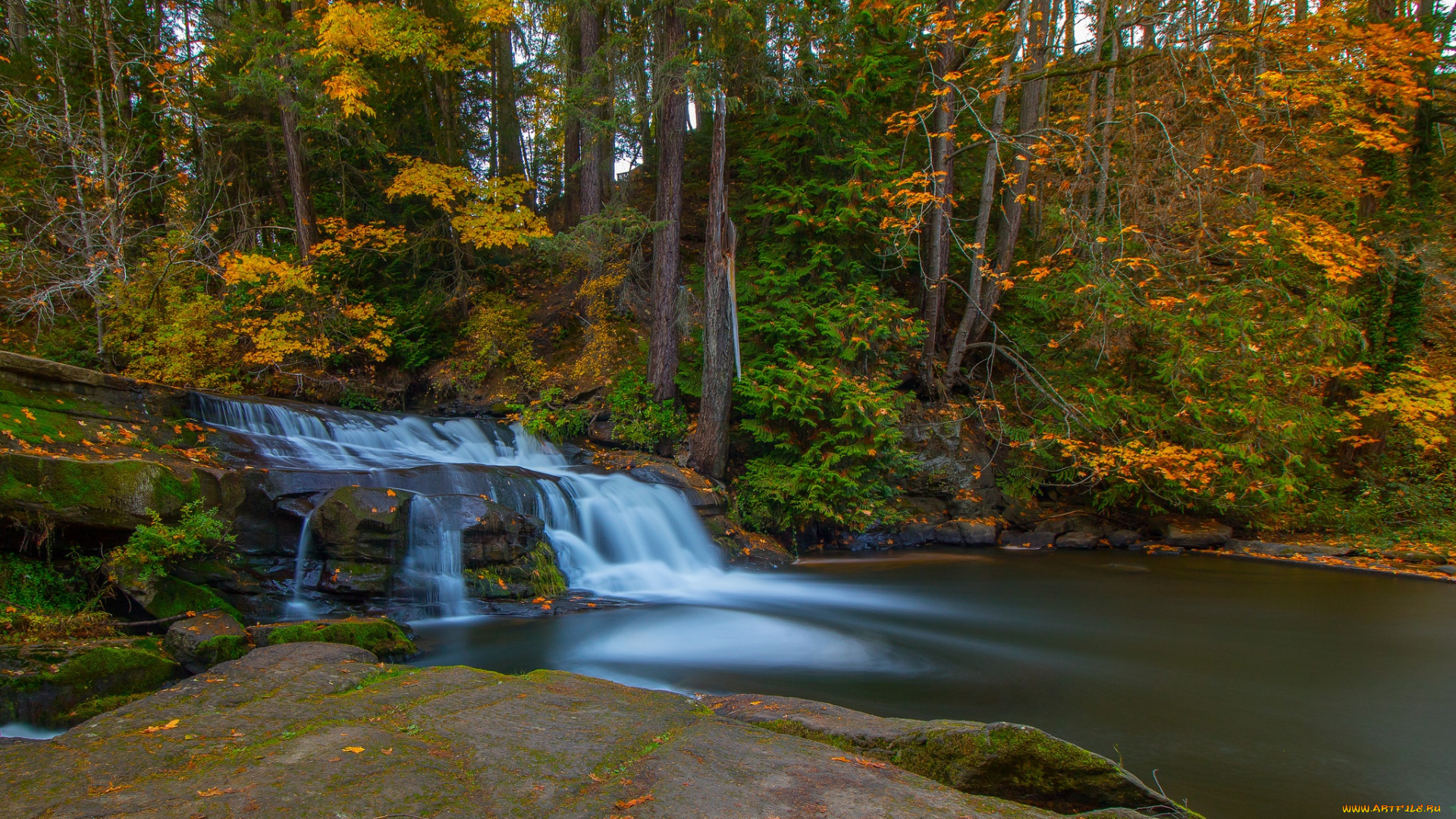 природа, водопады, каскад, лес, осень