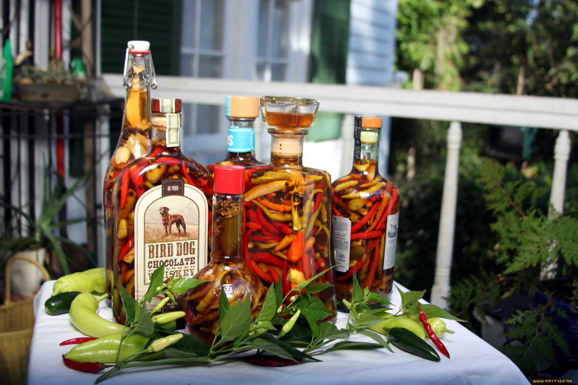 еда, перец, острый, консервация