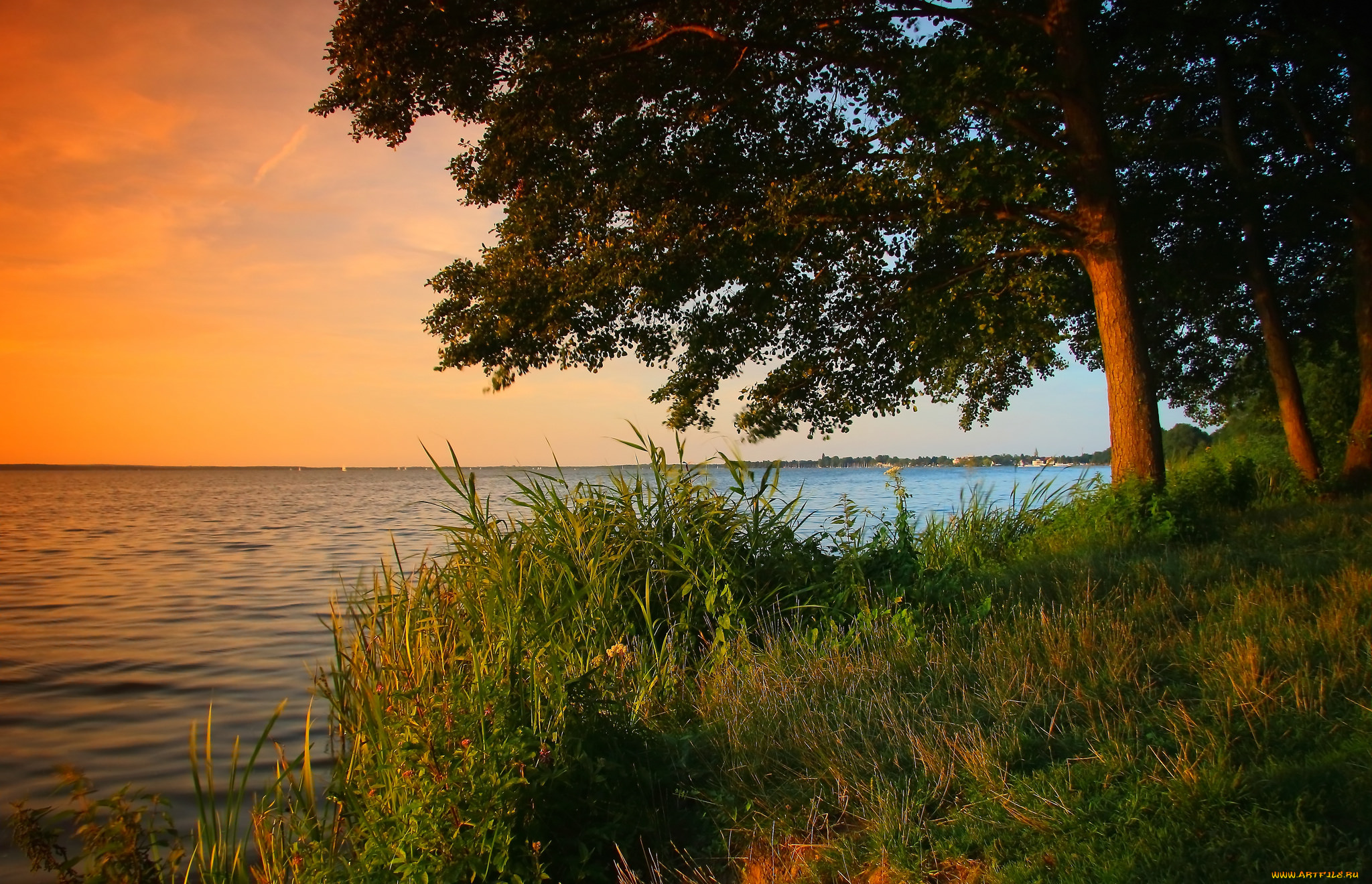 природа, побережье, простор